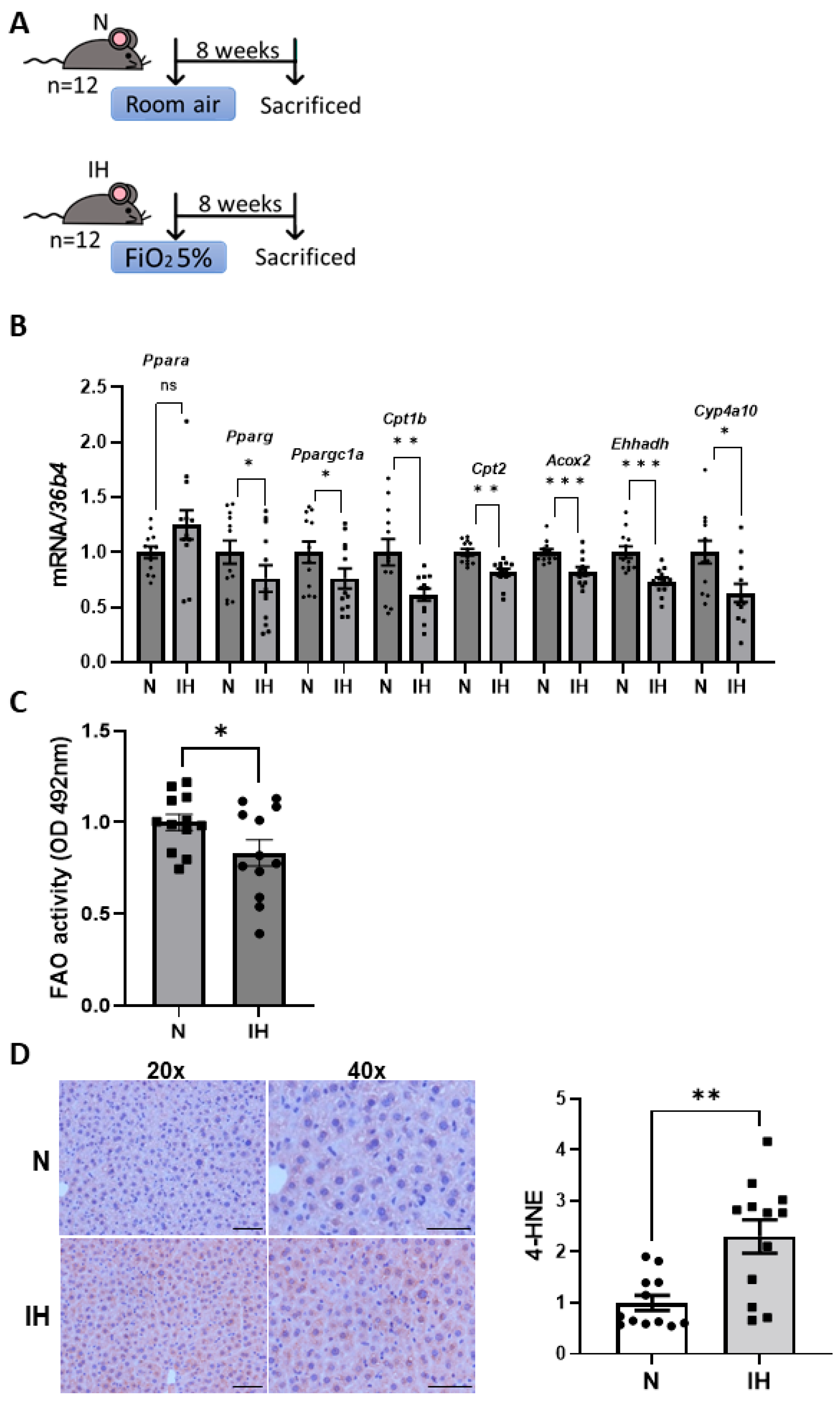 Antioxidants 14 00971 g004