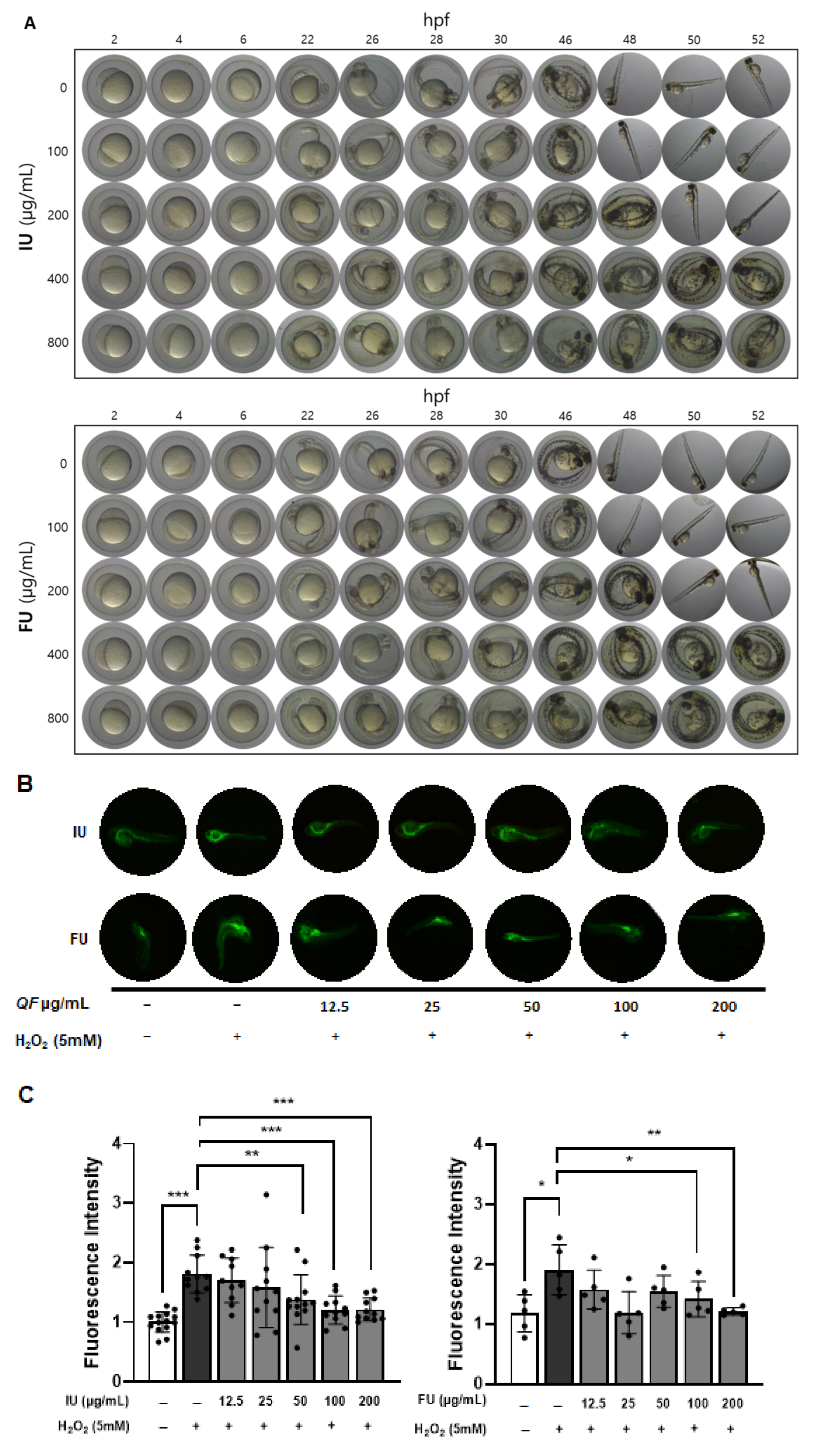 Antioxidants 14 00976 g005