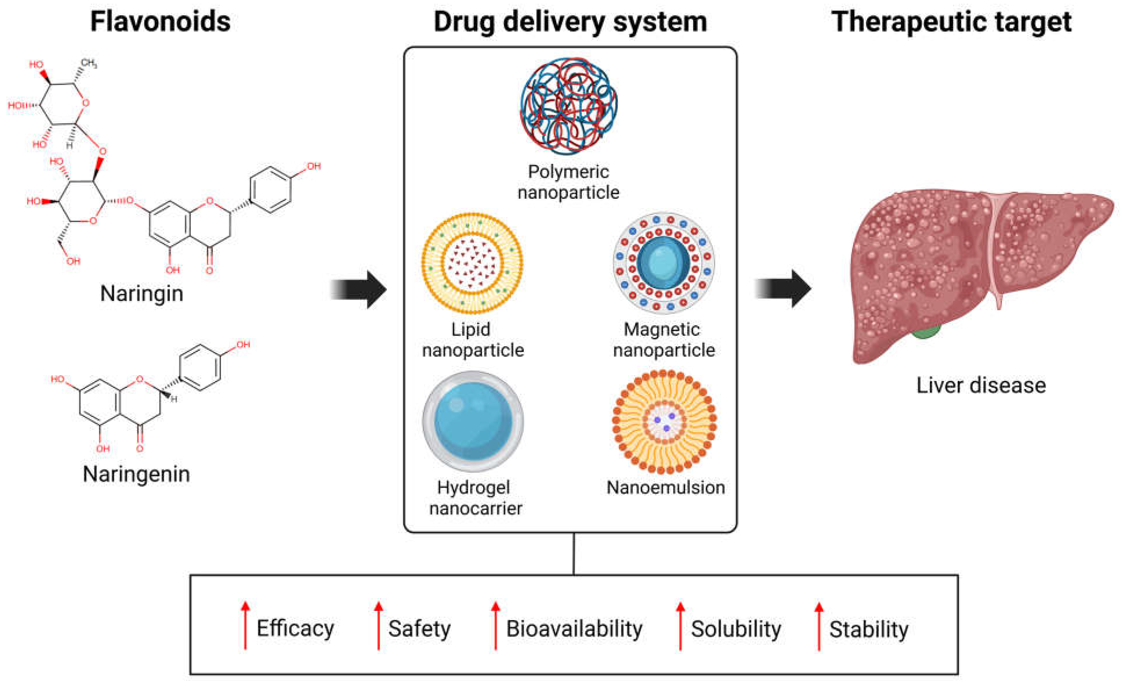 Antioxidants 14 00979 g004 Antioxidants 14 00979 g004