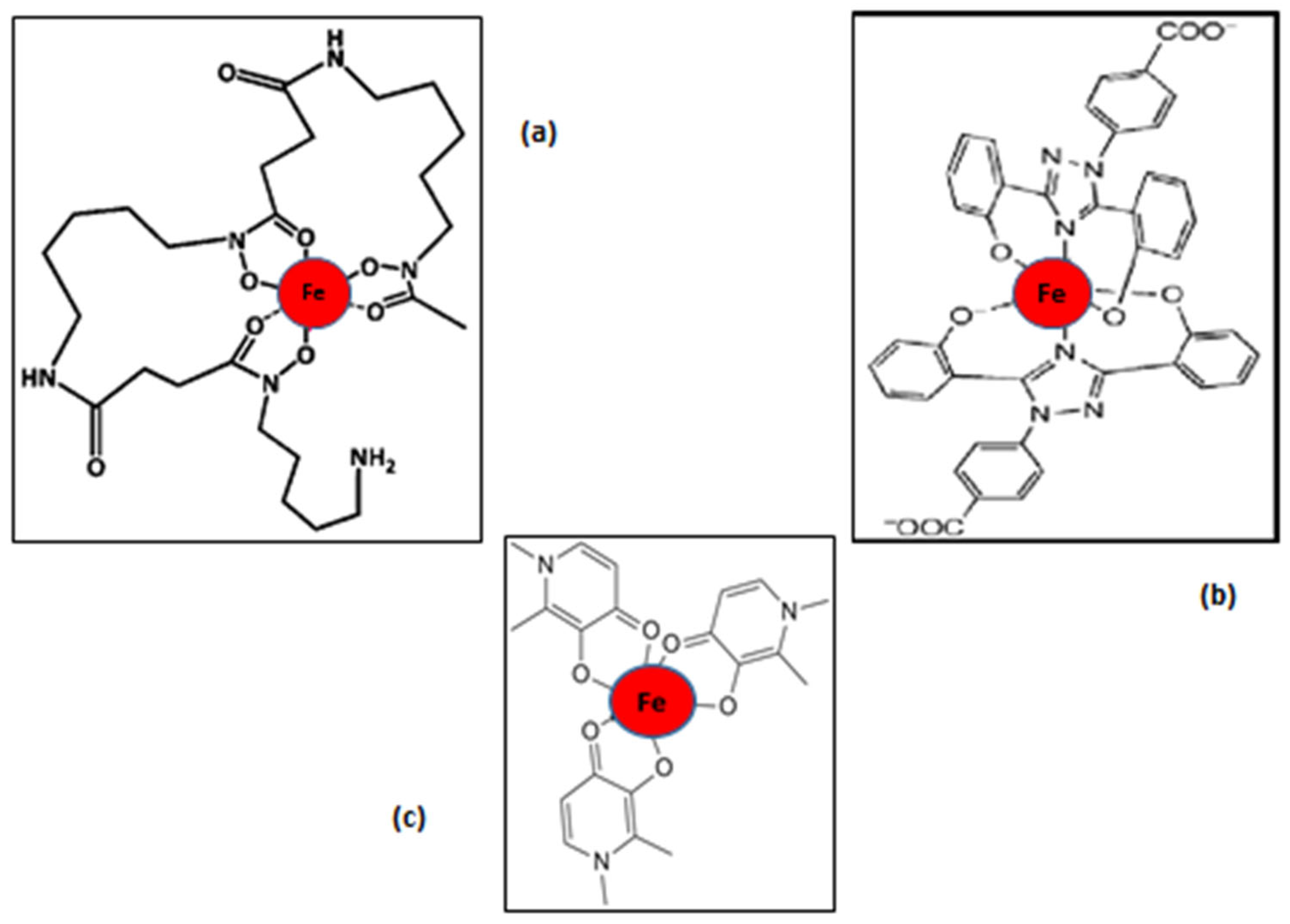 Antioxidants 14 00982 g002