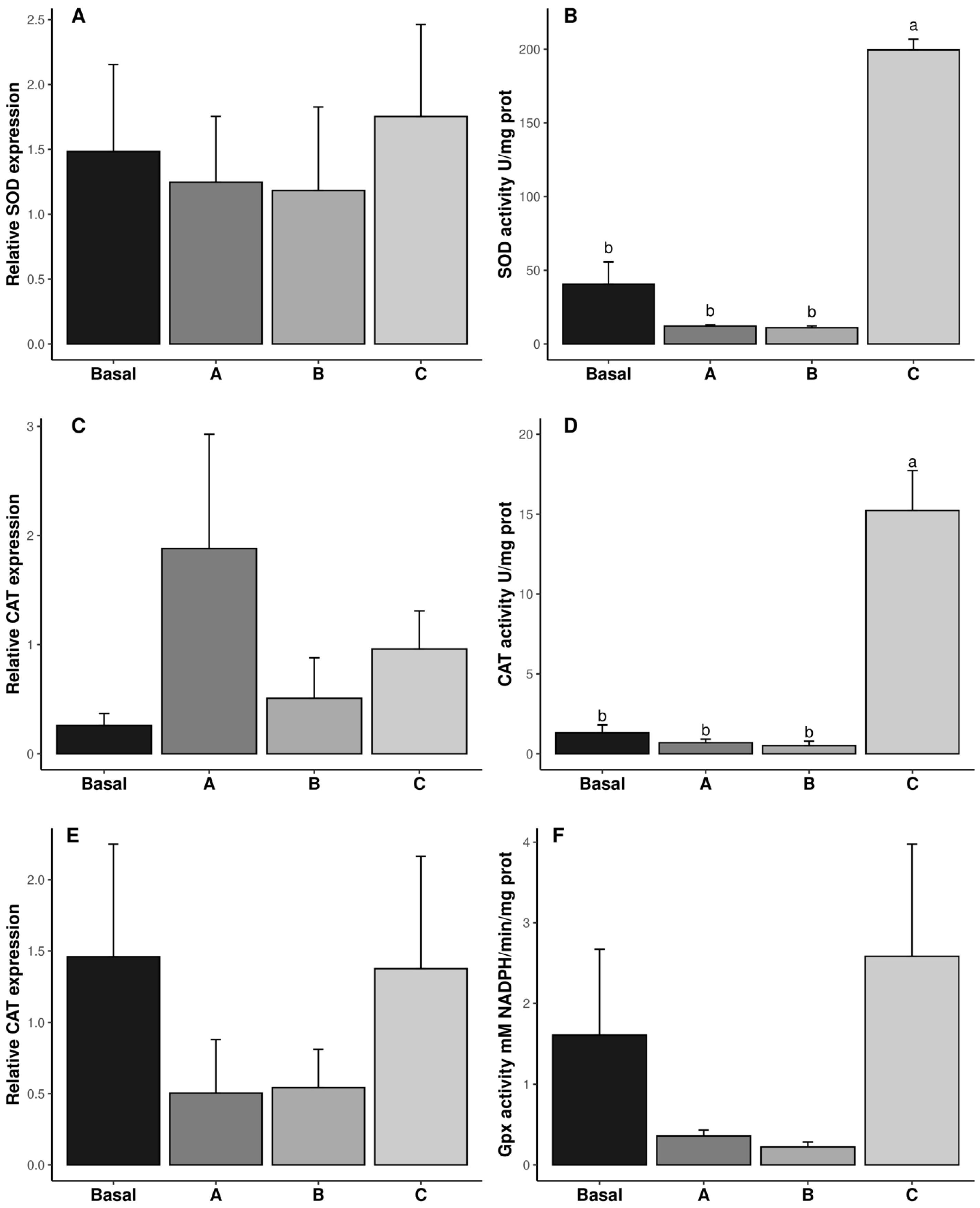 Antioxidants 14 00988 g002 Antioxidants 14 00988 g002