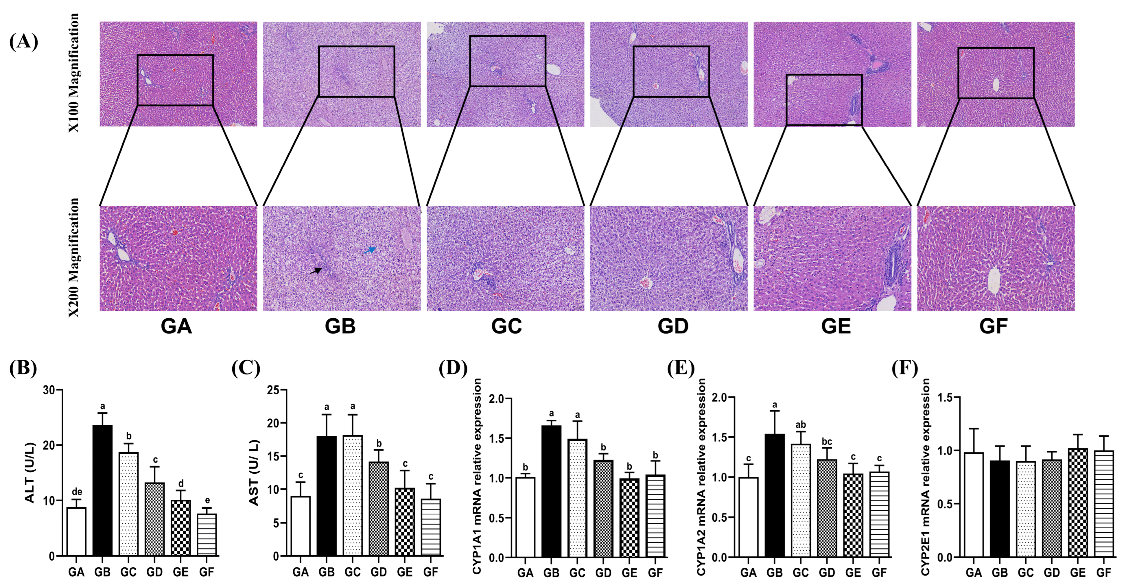 Antioxidants 14 00991 g001