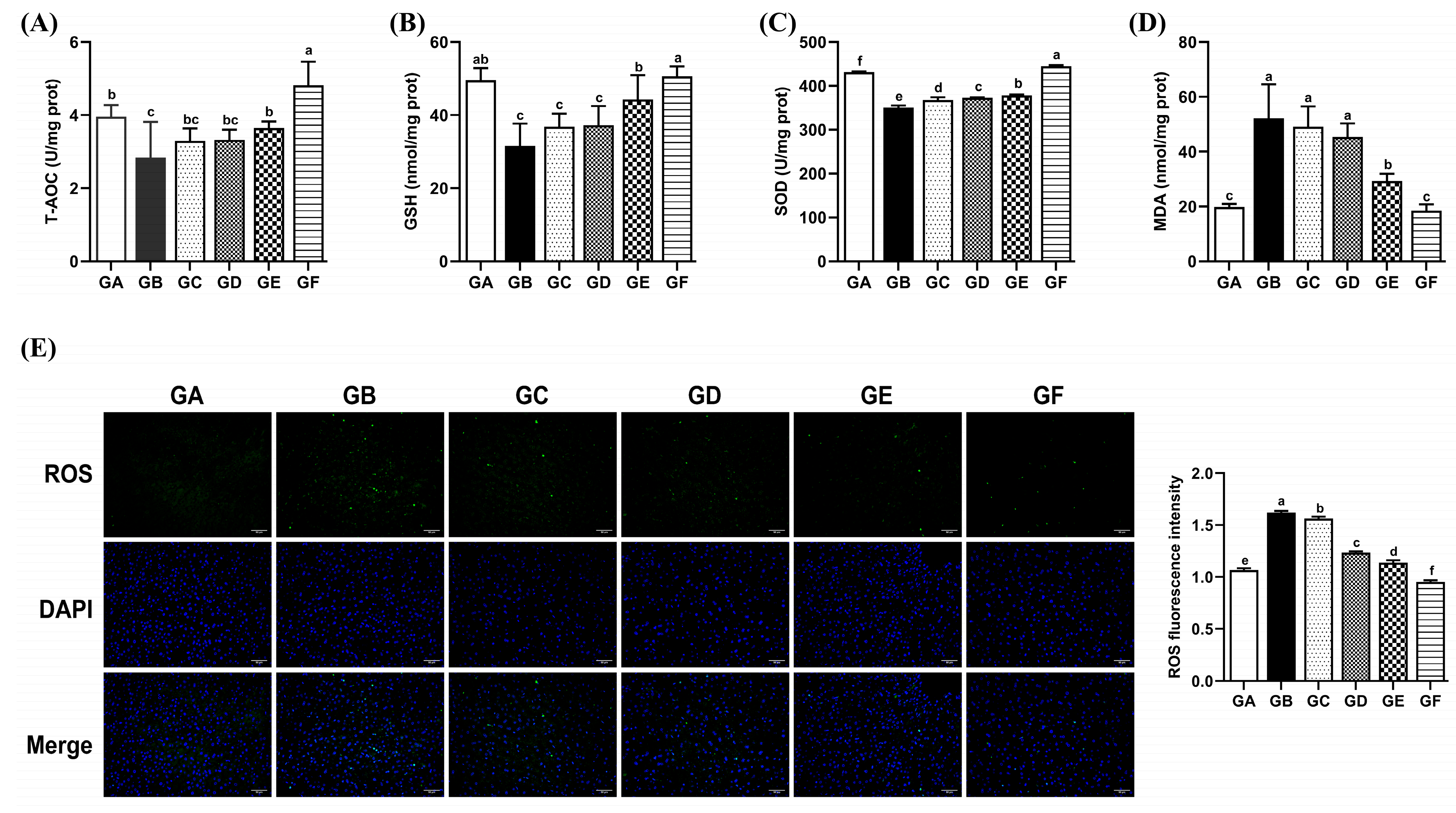 Antioxidants 14 00991 g002