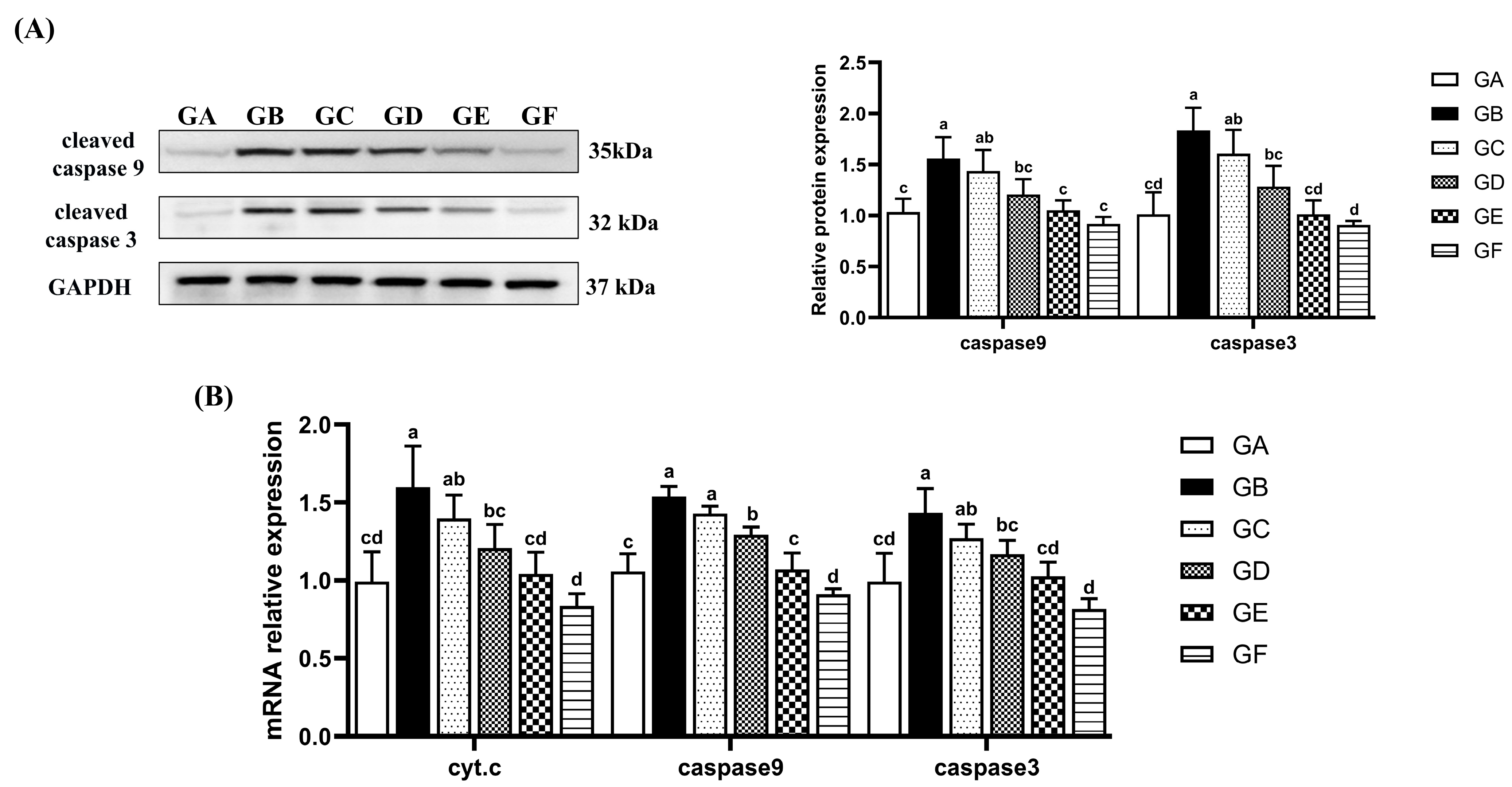 Antioxidants 14 00991 g003