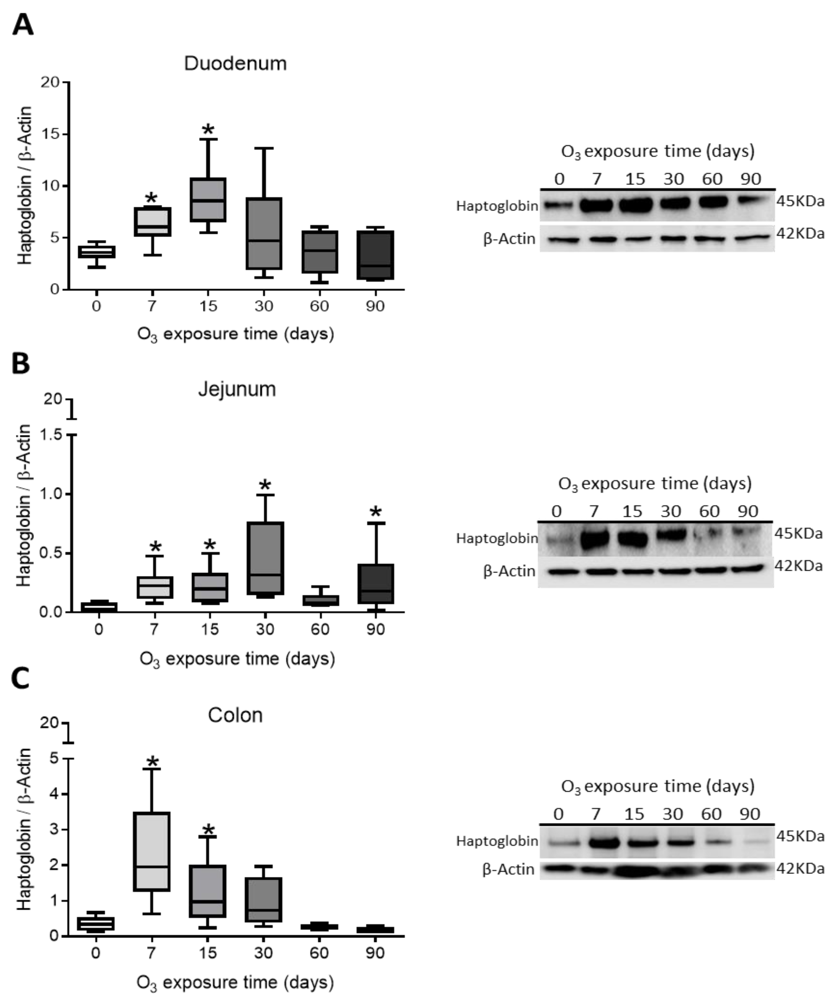 Antioxidants 14 01000 g002