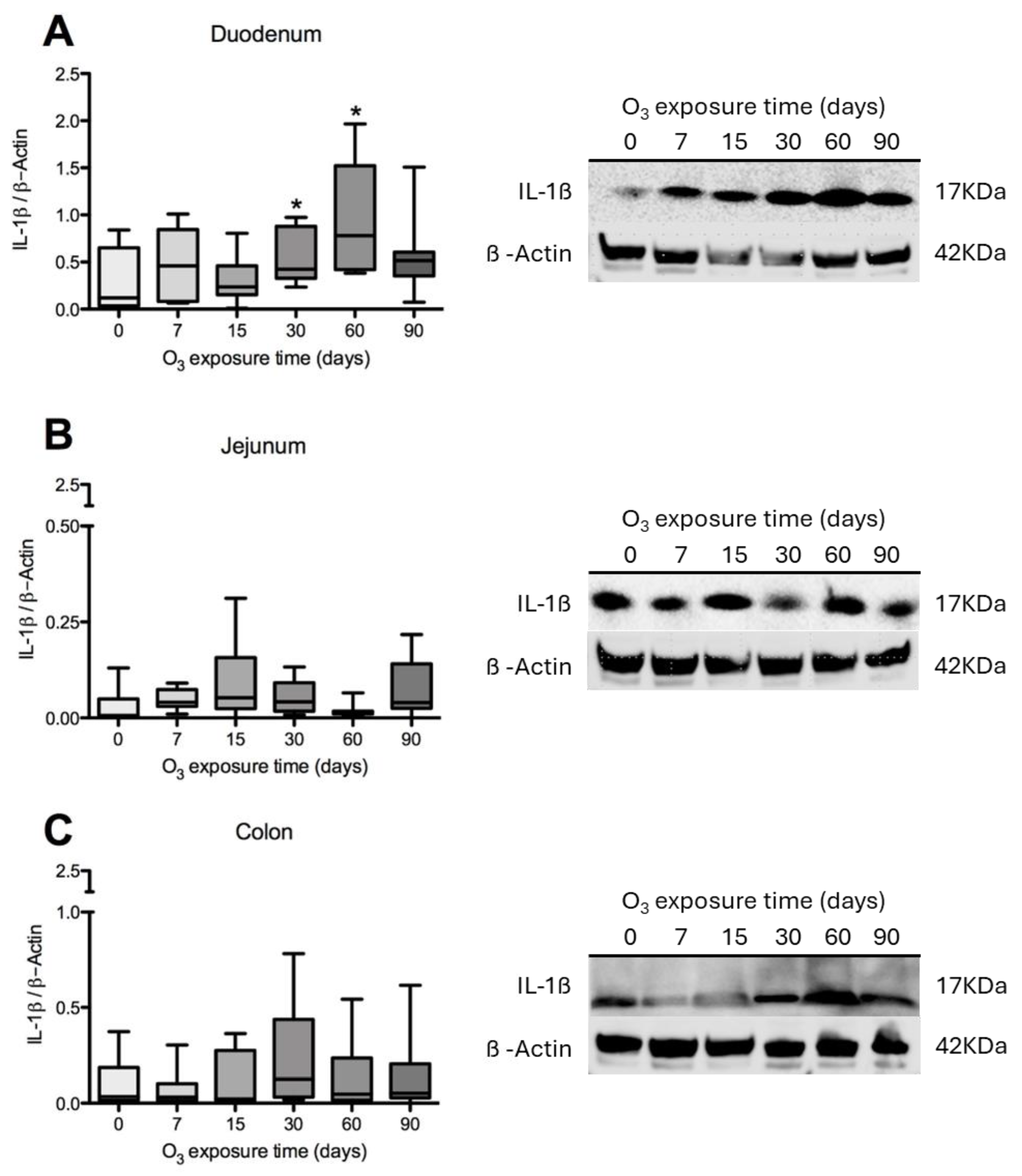 Antioxidants 14 01000 g003