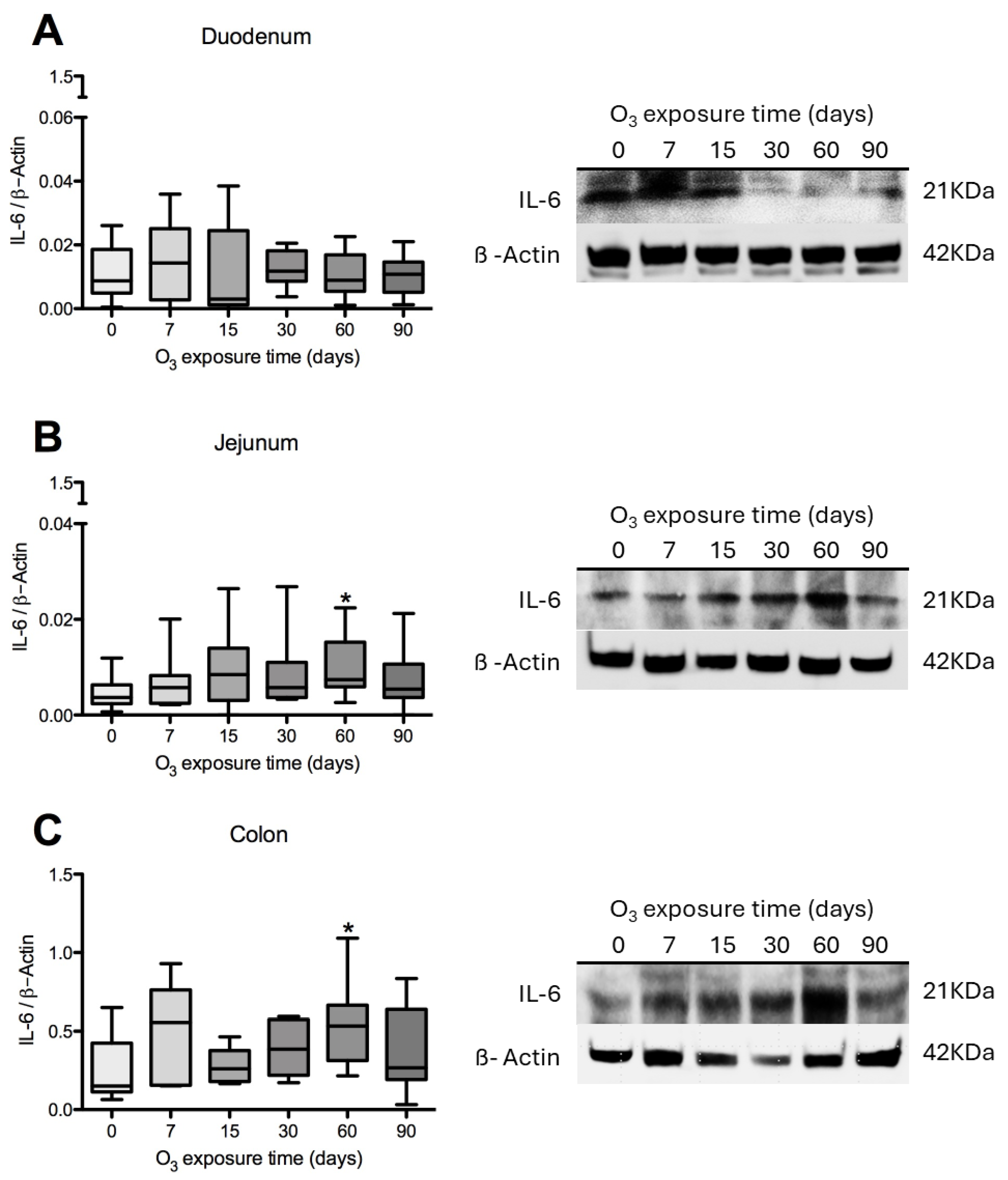 Antioxidants 14 01000 g004