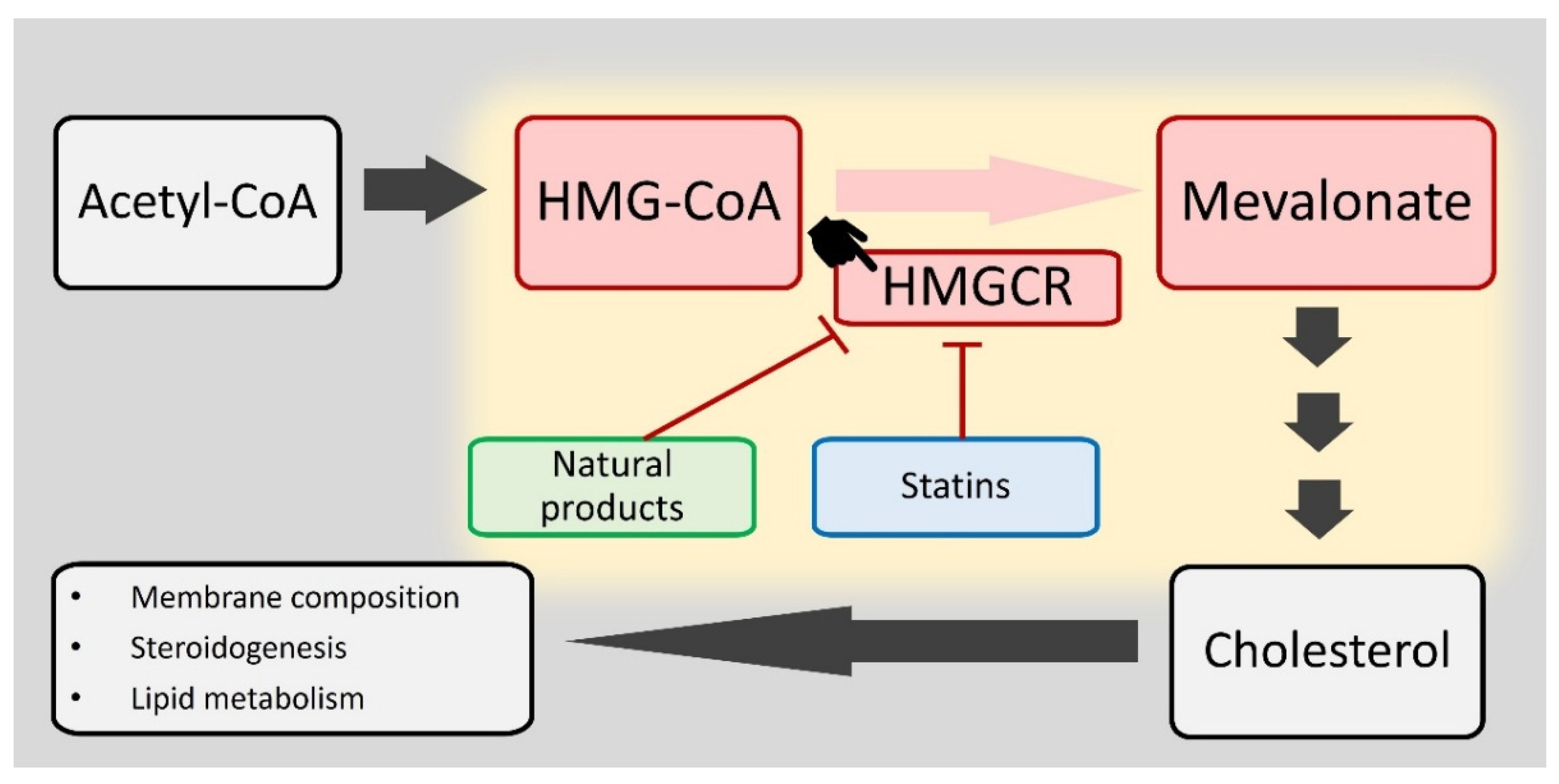 Antioxidants 14 01001 g001 Antioxidants 14 01001 g001