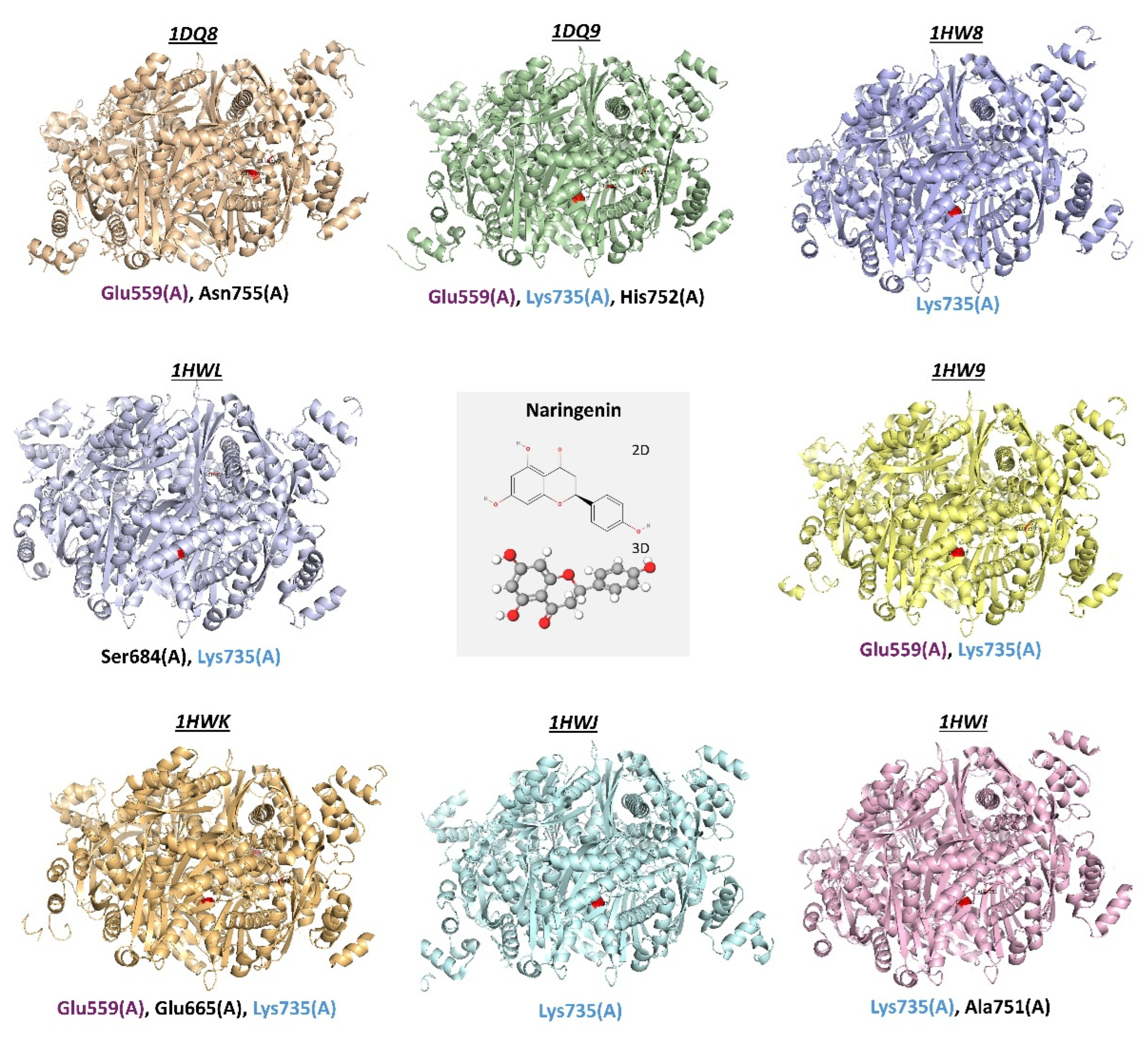 Antioxidants 14 01001 g004 Antioxidants 14 01001 g004