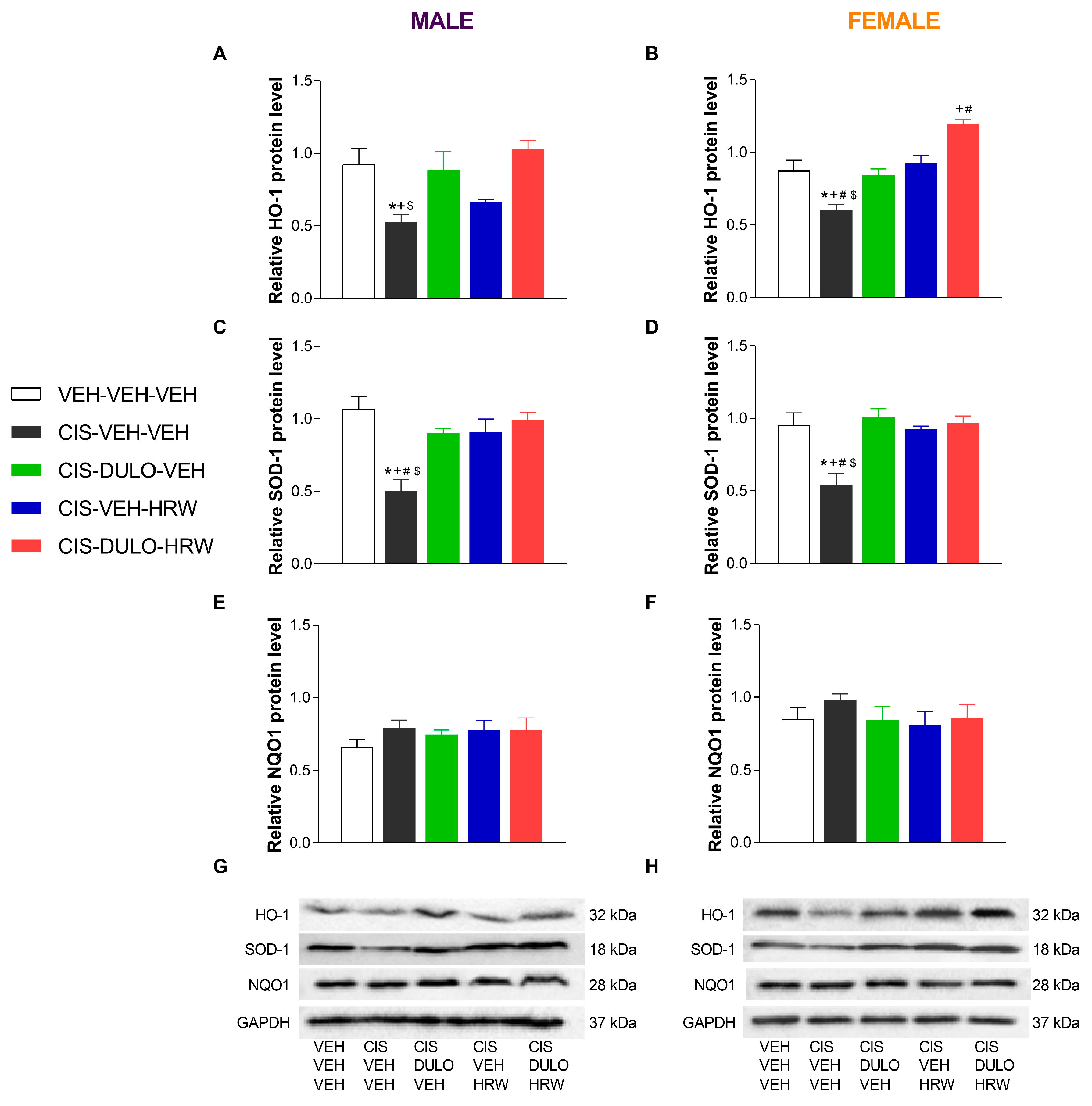 Antioxidants 14 01004 g012