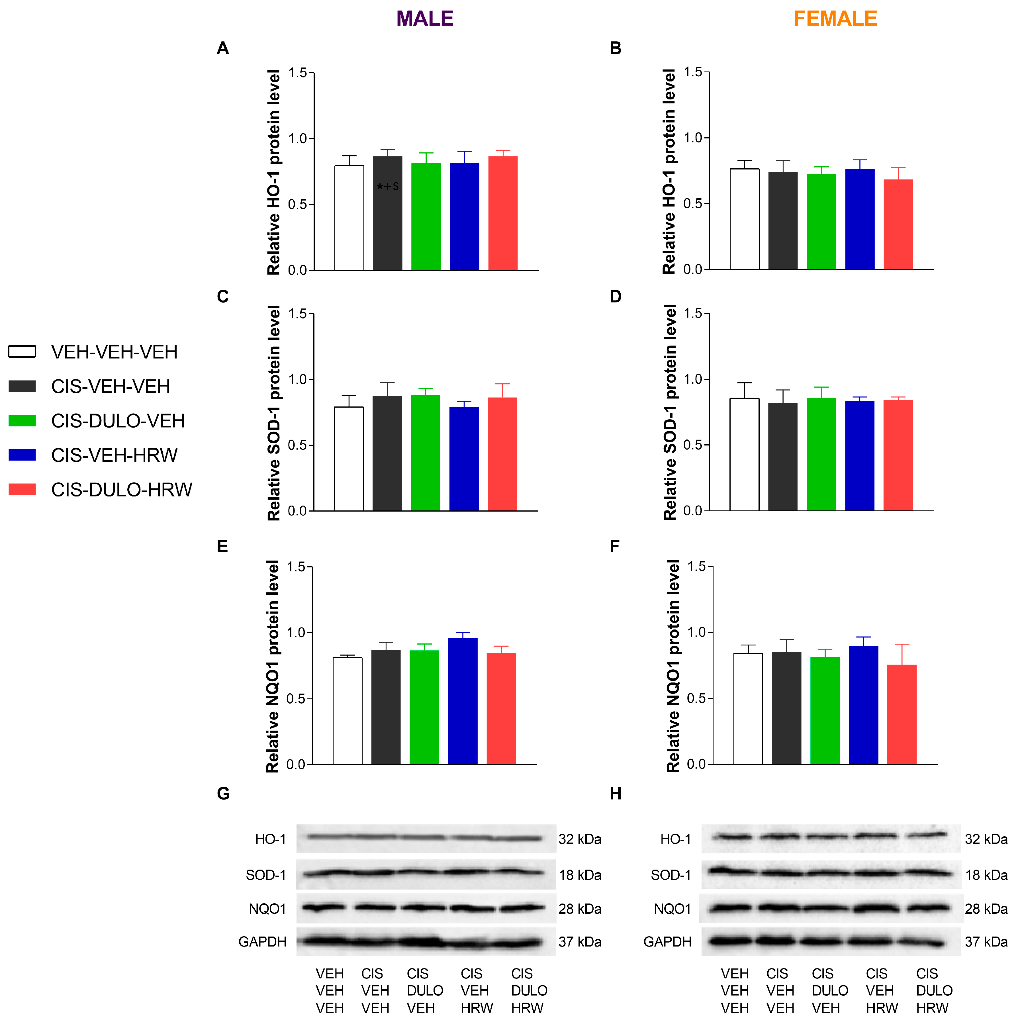 Antioxidants 14 01004 g013