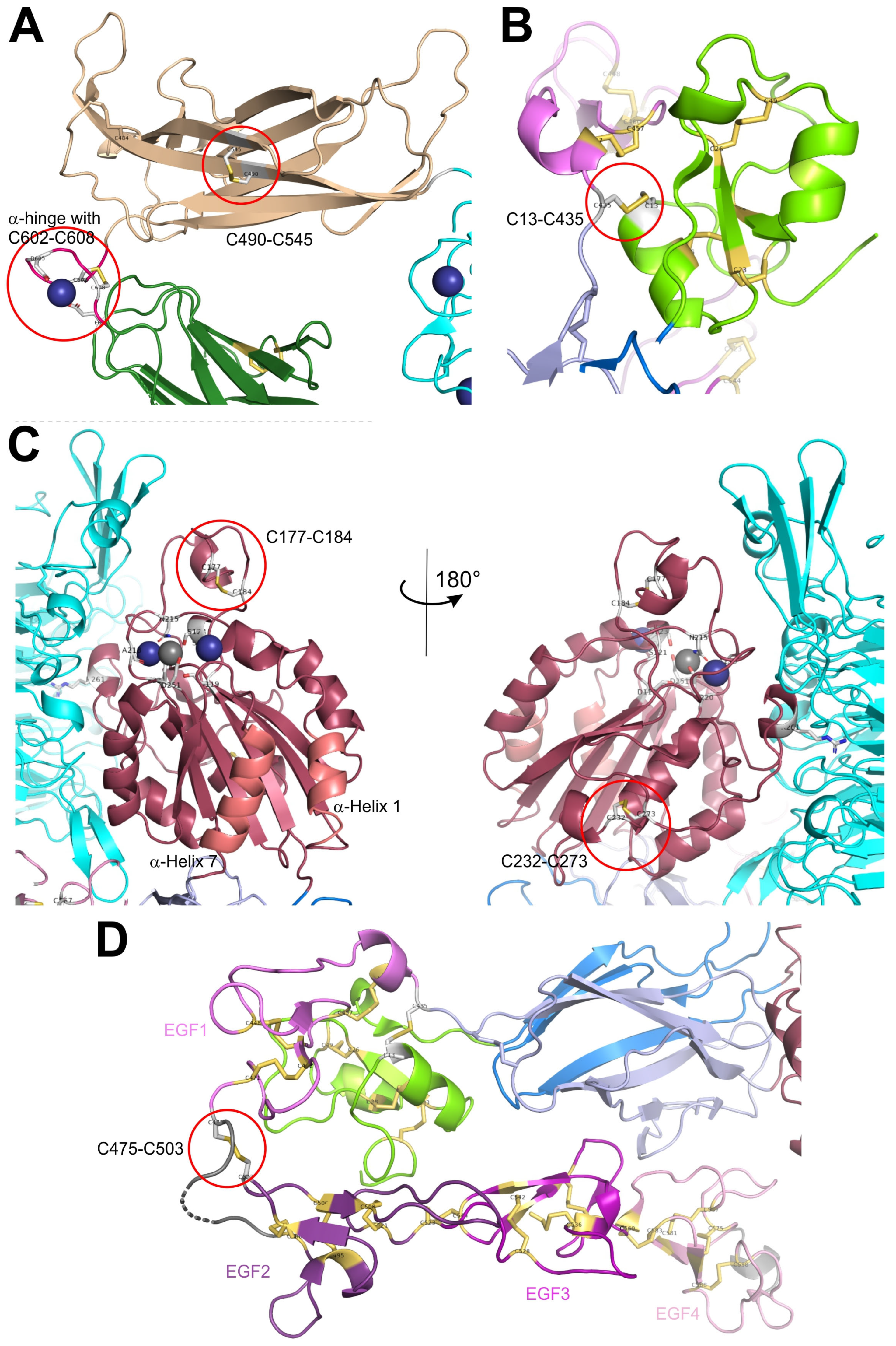 Antioxidants 14 01005 g002 Antioxidants 14 01005 g002