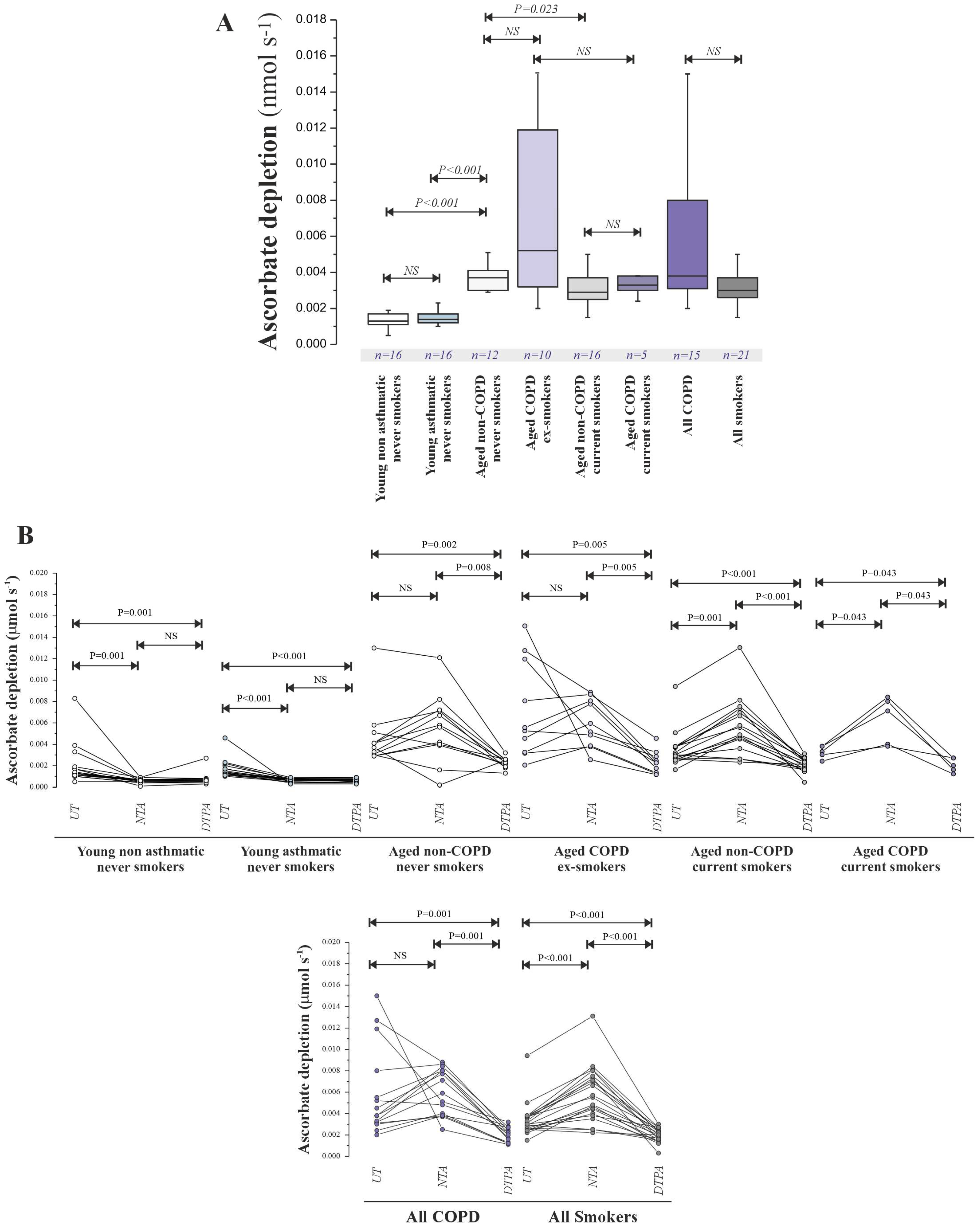 Antioxidants 14 01006 g004