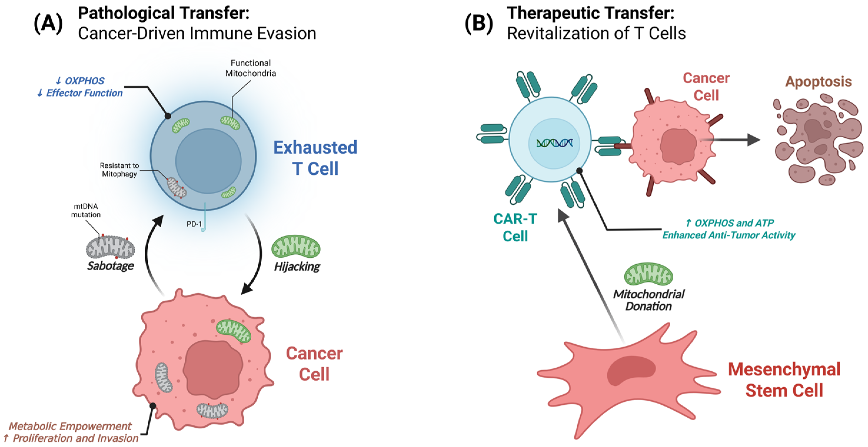 Antioxidants 14 01008 g001