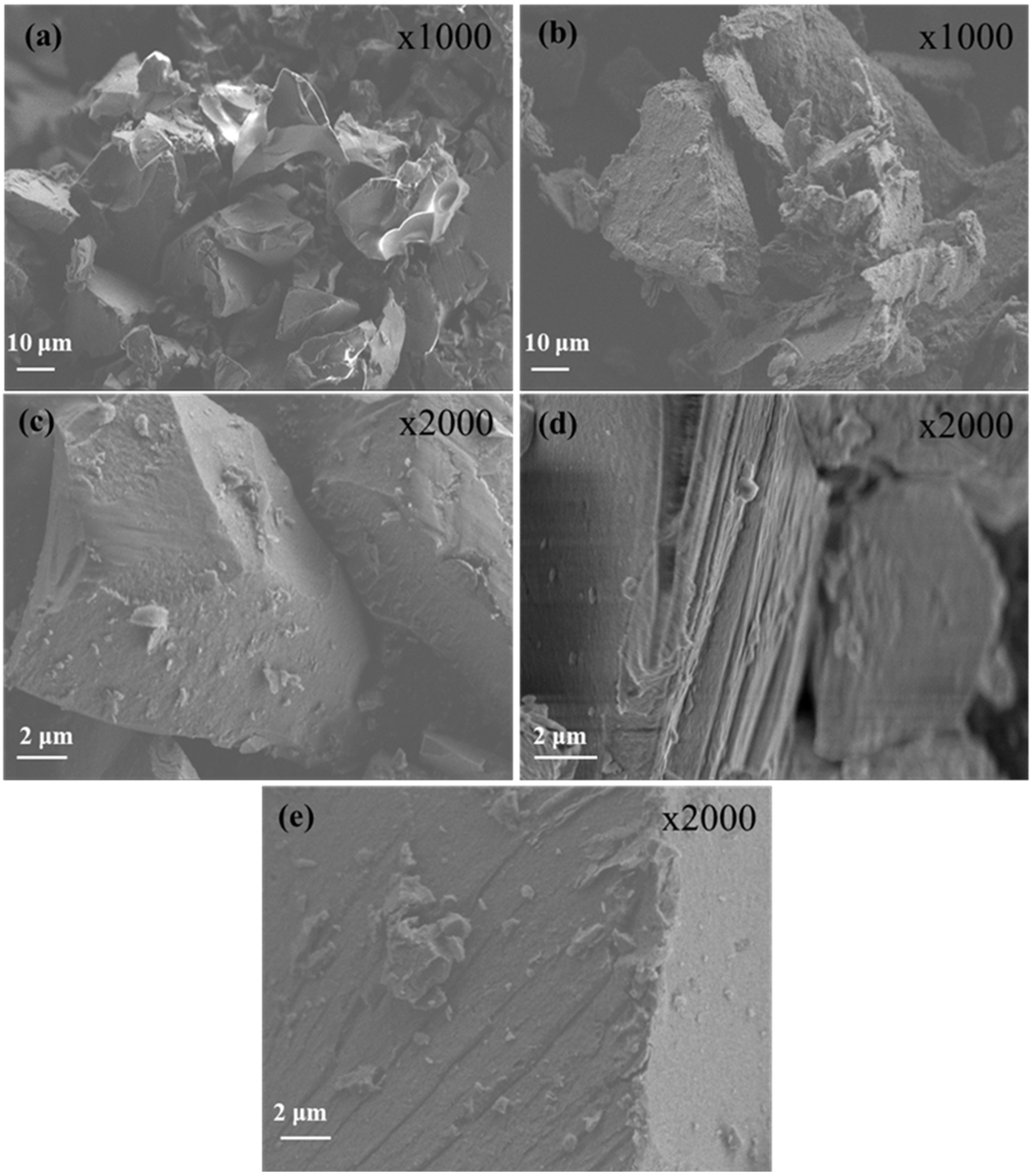 Antioxidants 14 01010 g004 Antioxidants 14 01010 g004
