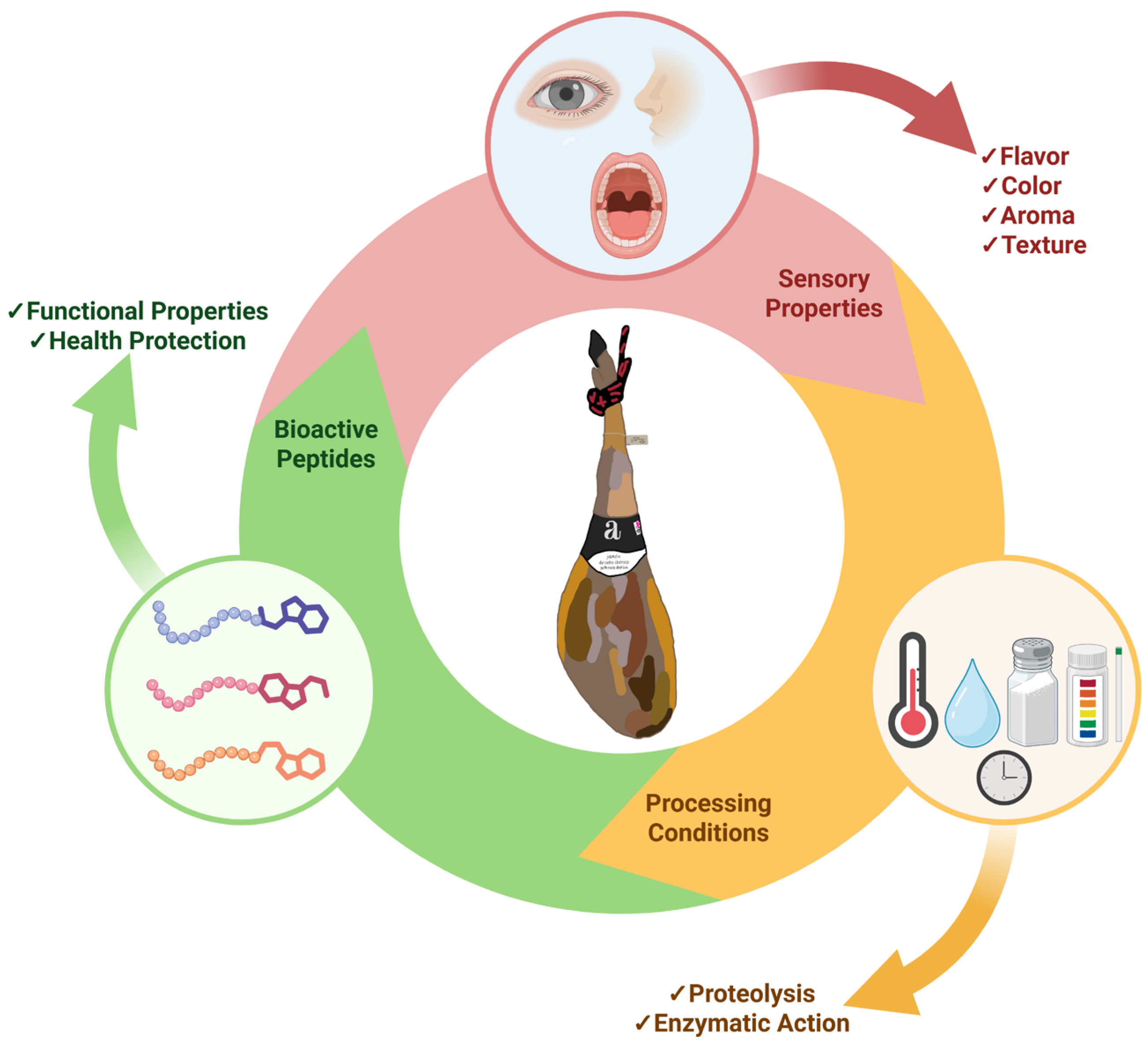 Antioxidants 14 01011 g001 Antioxidants 14 01011 g001