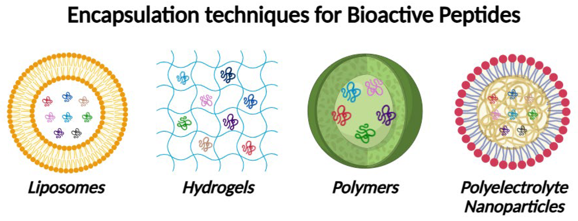 Antioxidants 14 01011 g003 Antioxidants 14 01011 g003