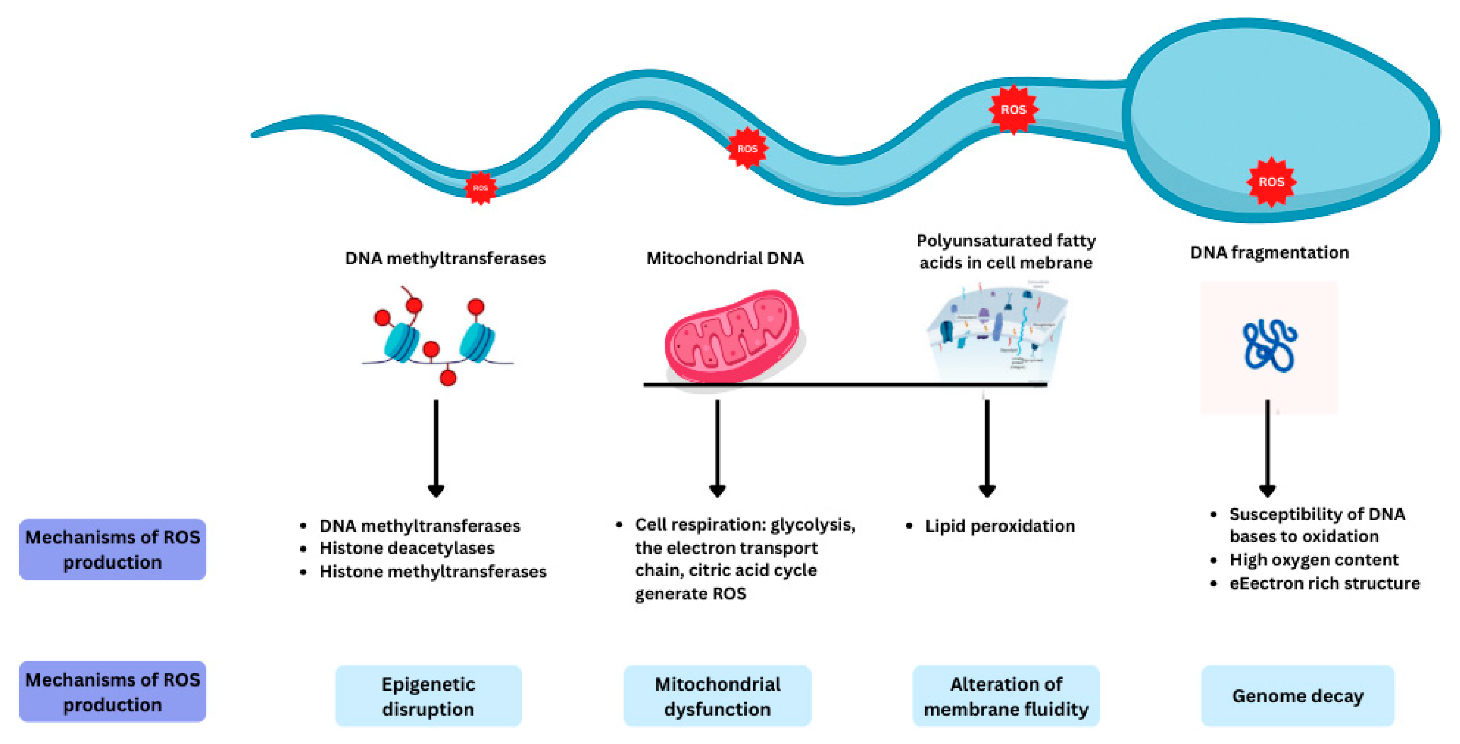 Antioxidants 14 01013 g002