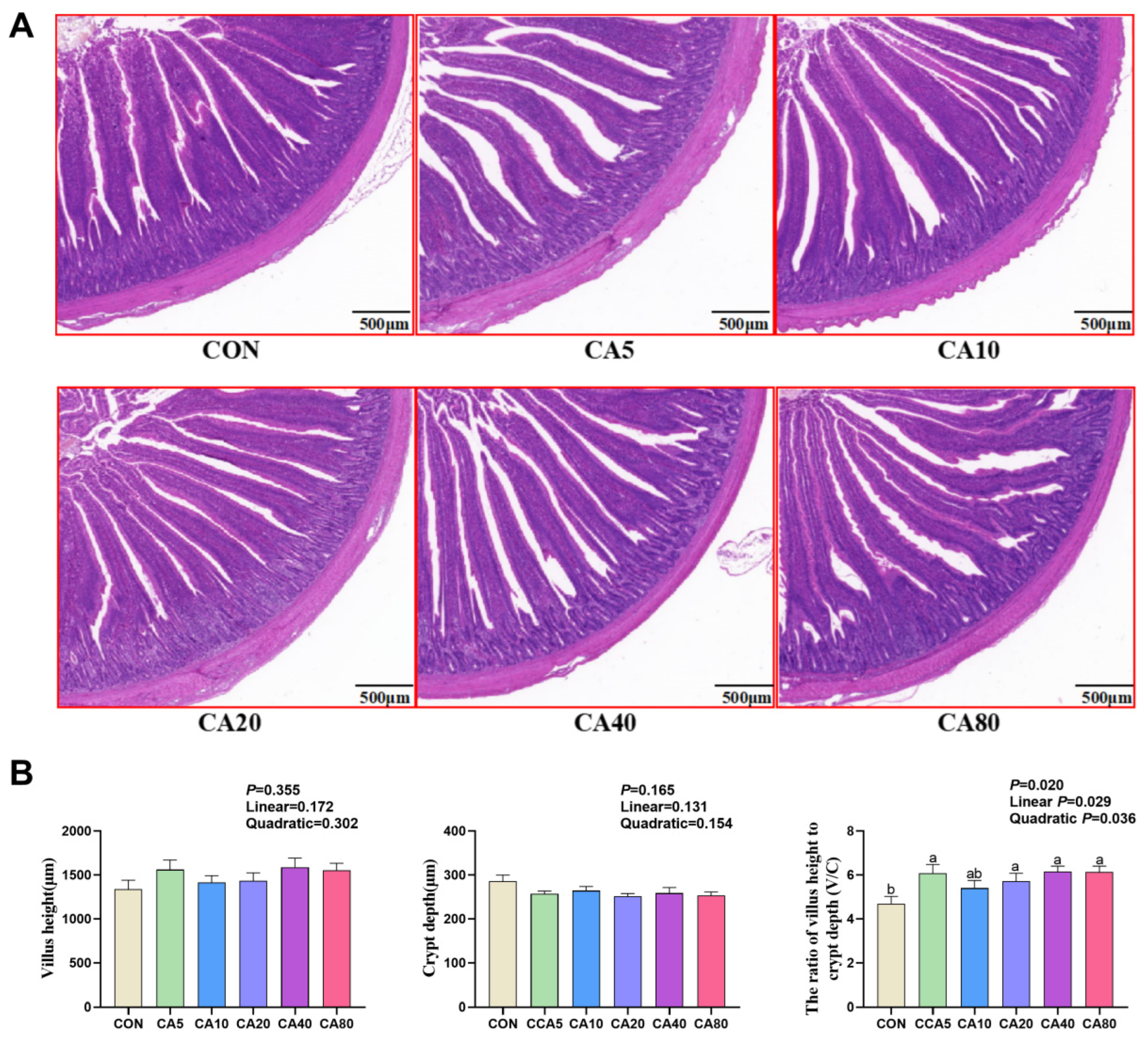 Antioxidants 14 01026 g001 Antioxidants 14 01026 g001