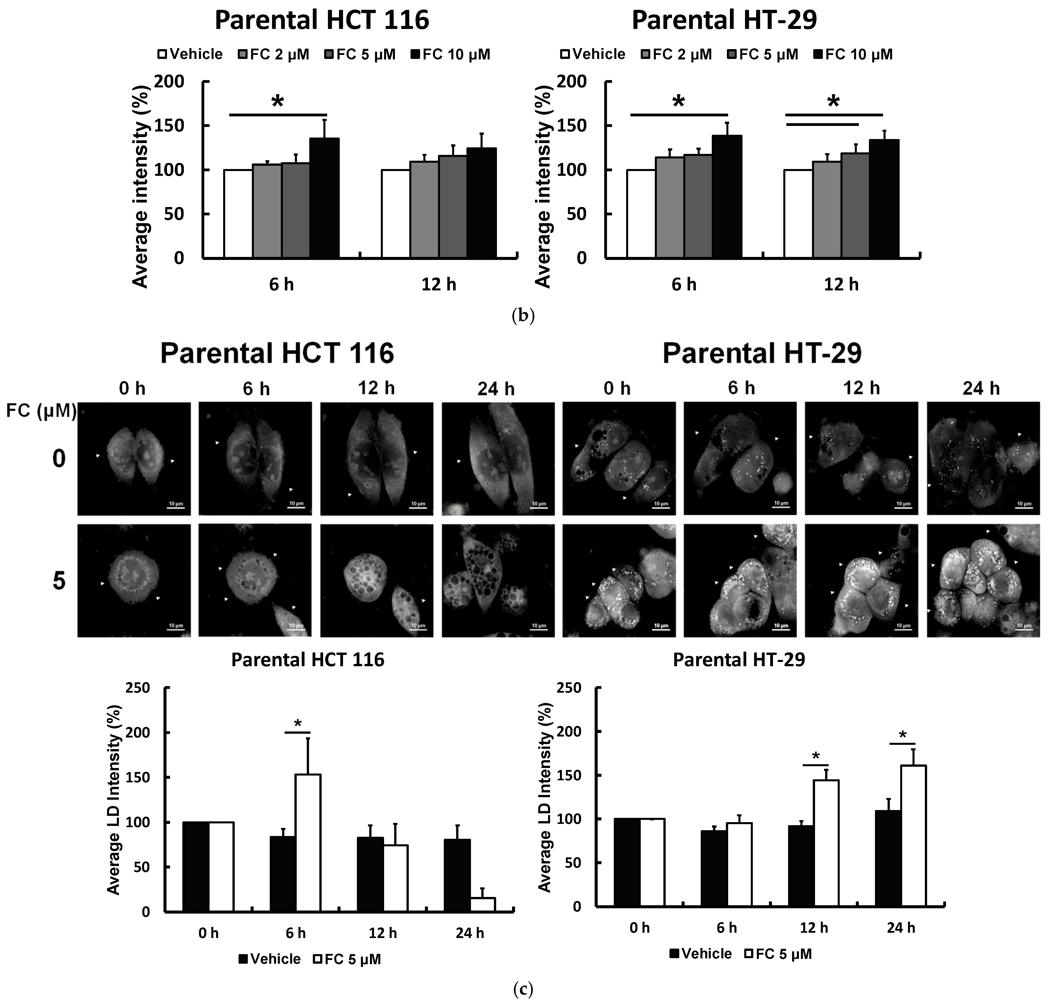 Antioxidants 14 01027 g003b