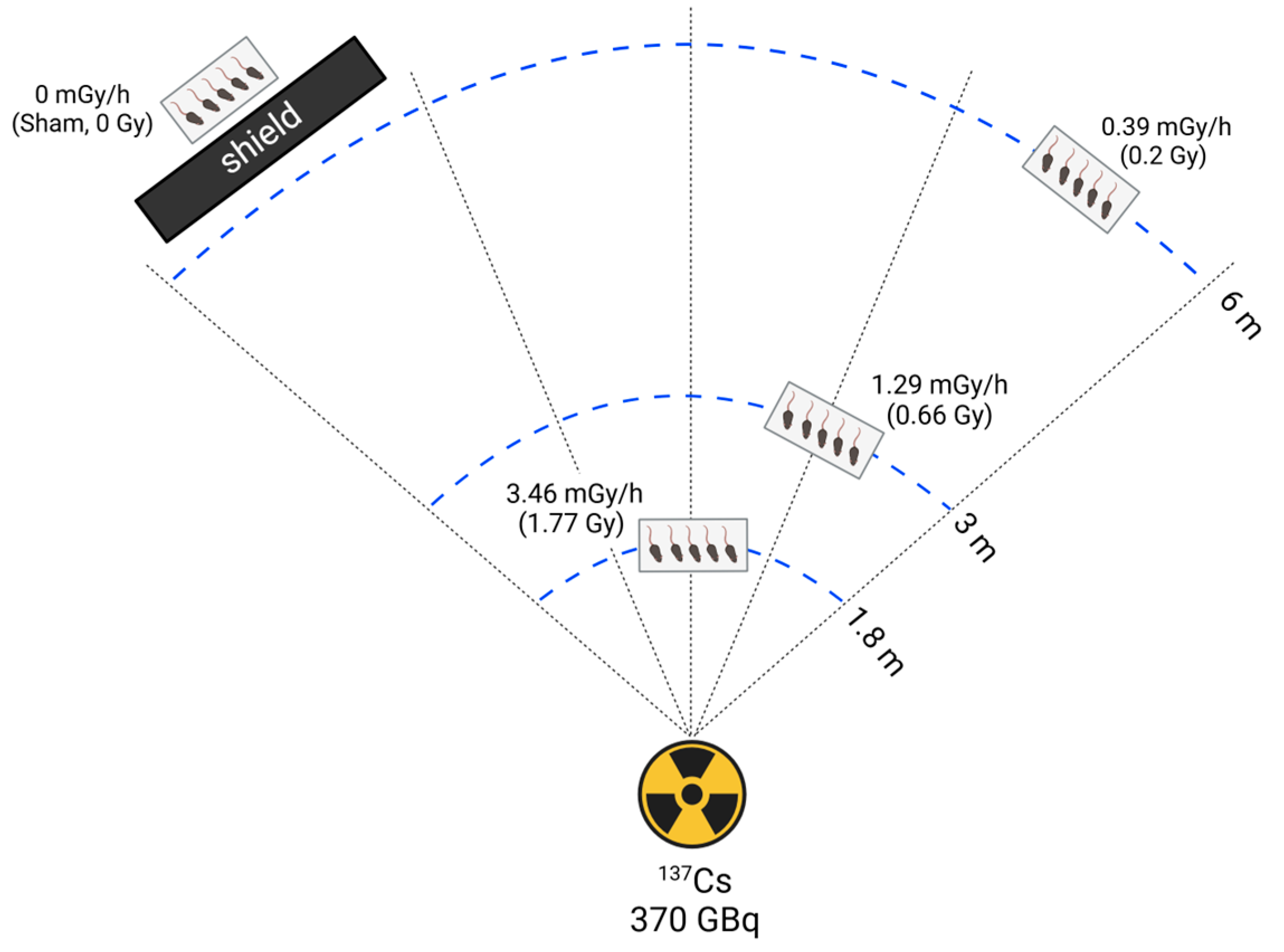 Antioxidants 14 01028 g001
