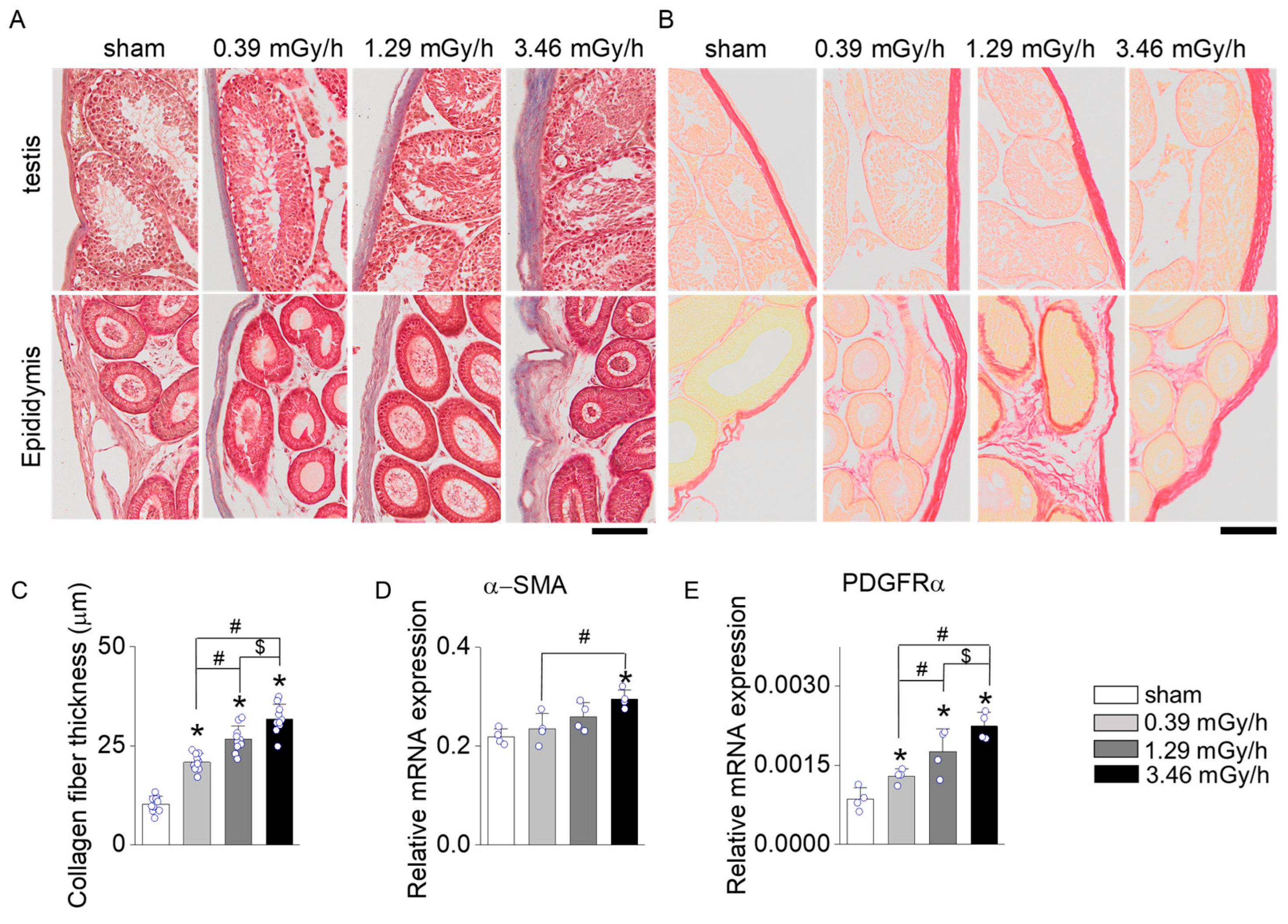 Antioxidants 14 01028 g004
