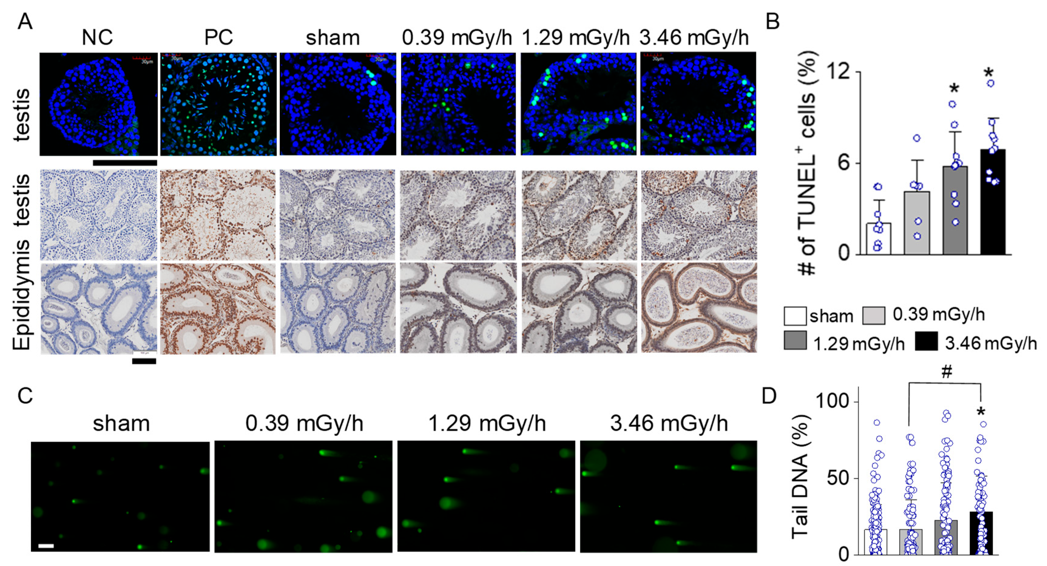 Antioxidants 14 01028 g005