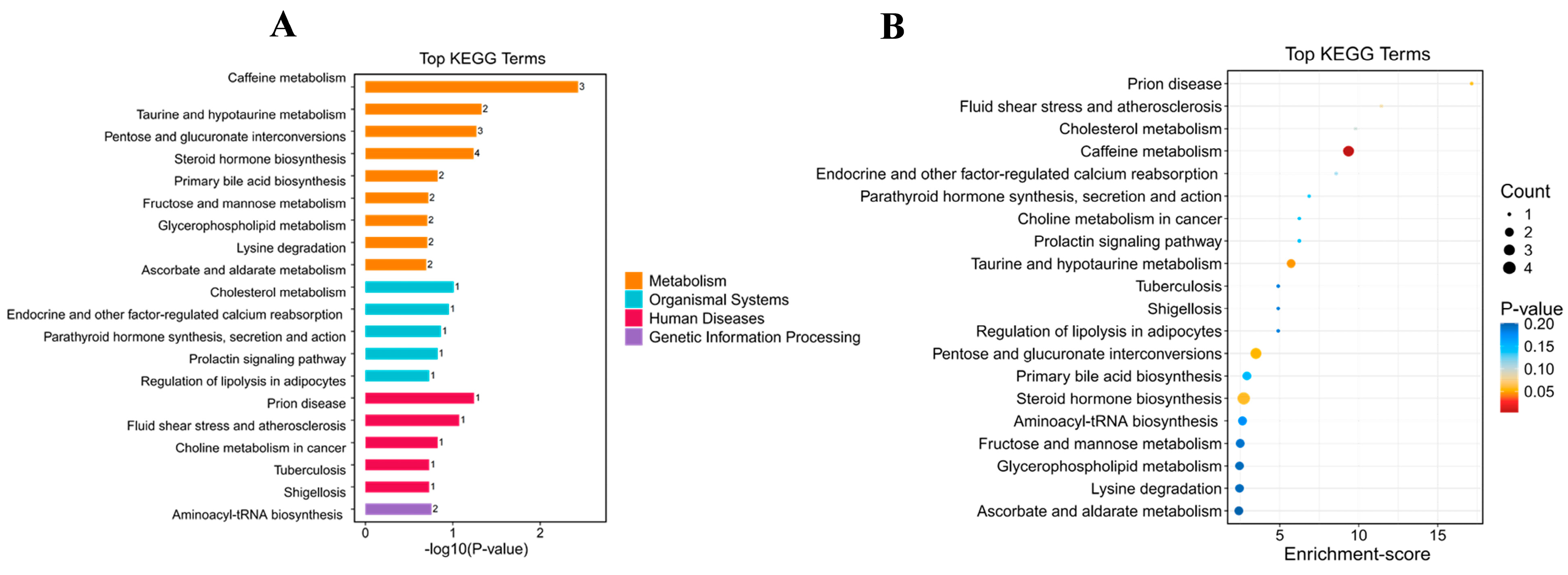 Antioxidants 14 01038 g008 Antioxidants 14 01038 g008