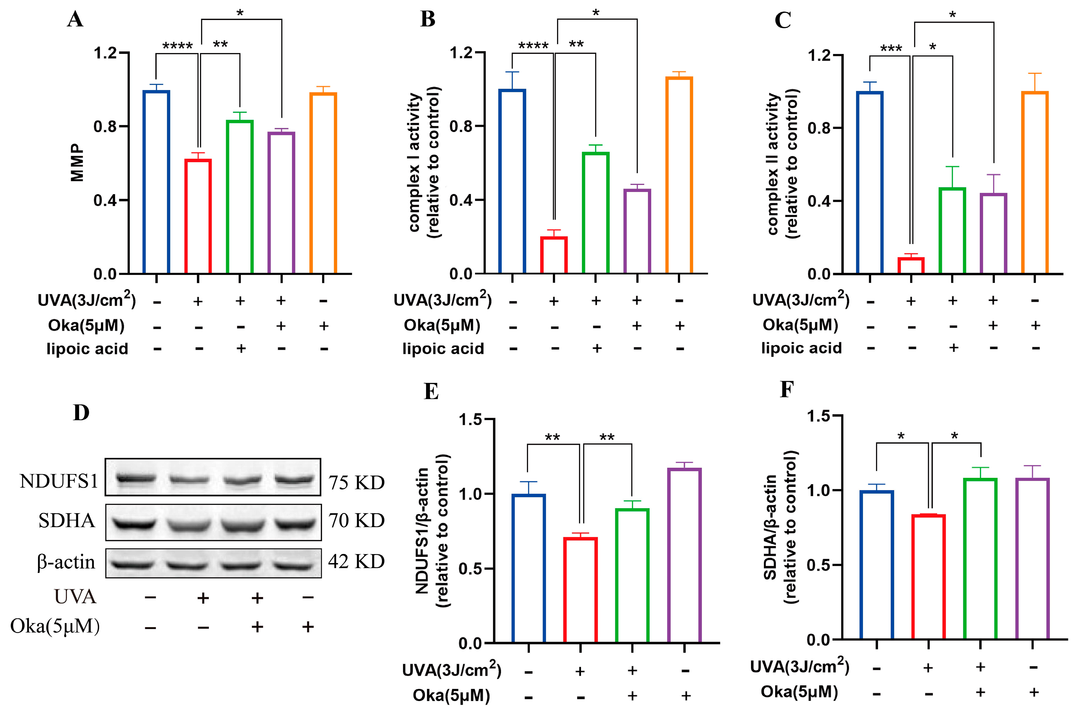 Antioxidants 14 01040 g004 Antioxidants 14 01040 g004