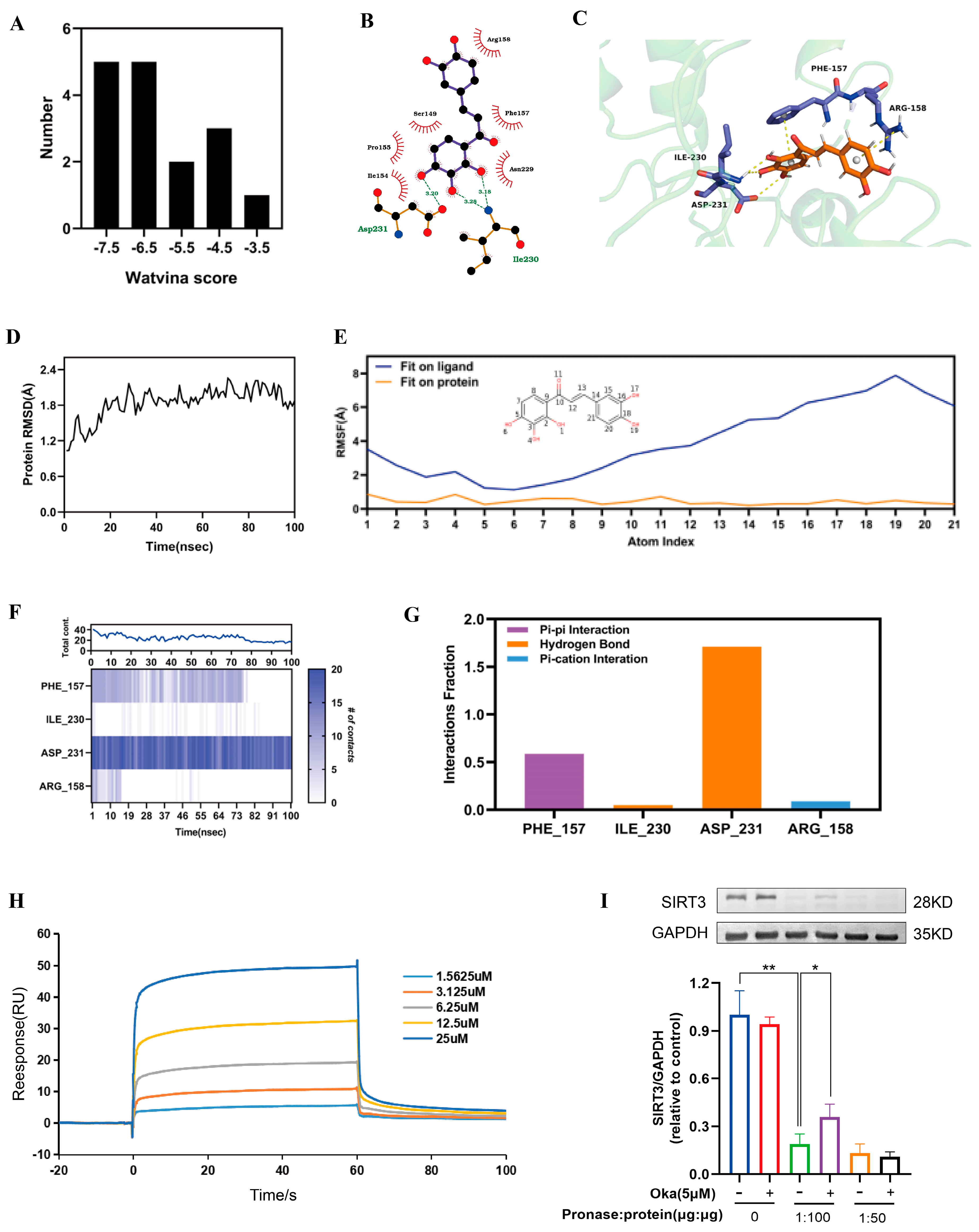 Antioxidants 14 01040 g006 Antioxidants 14 01040 g006