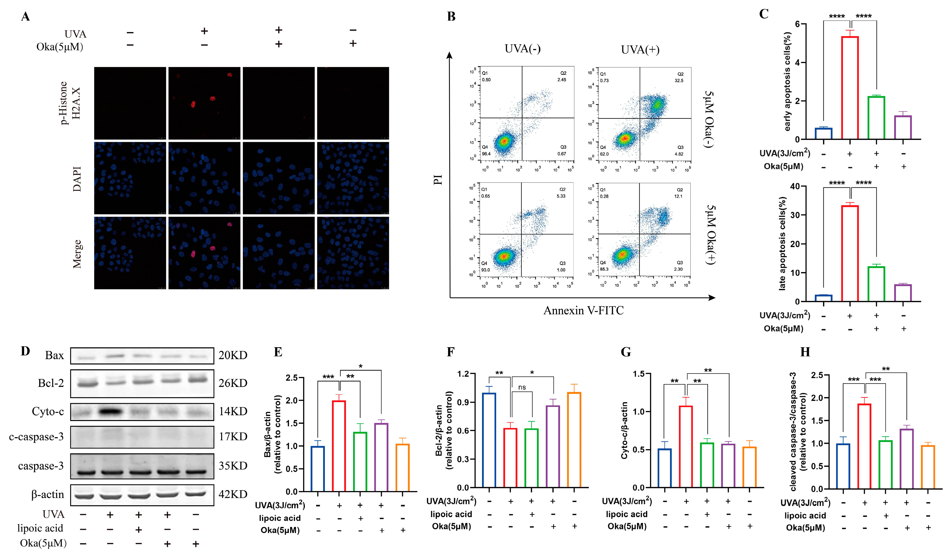 Antioxidants 14 01040 g009 Antioxidants 14 01040 g009
