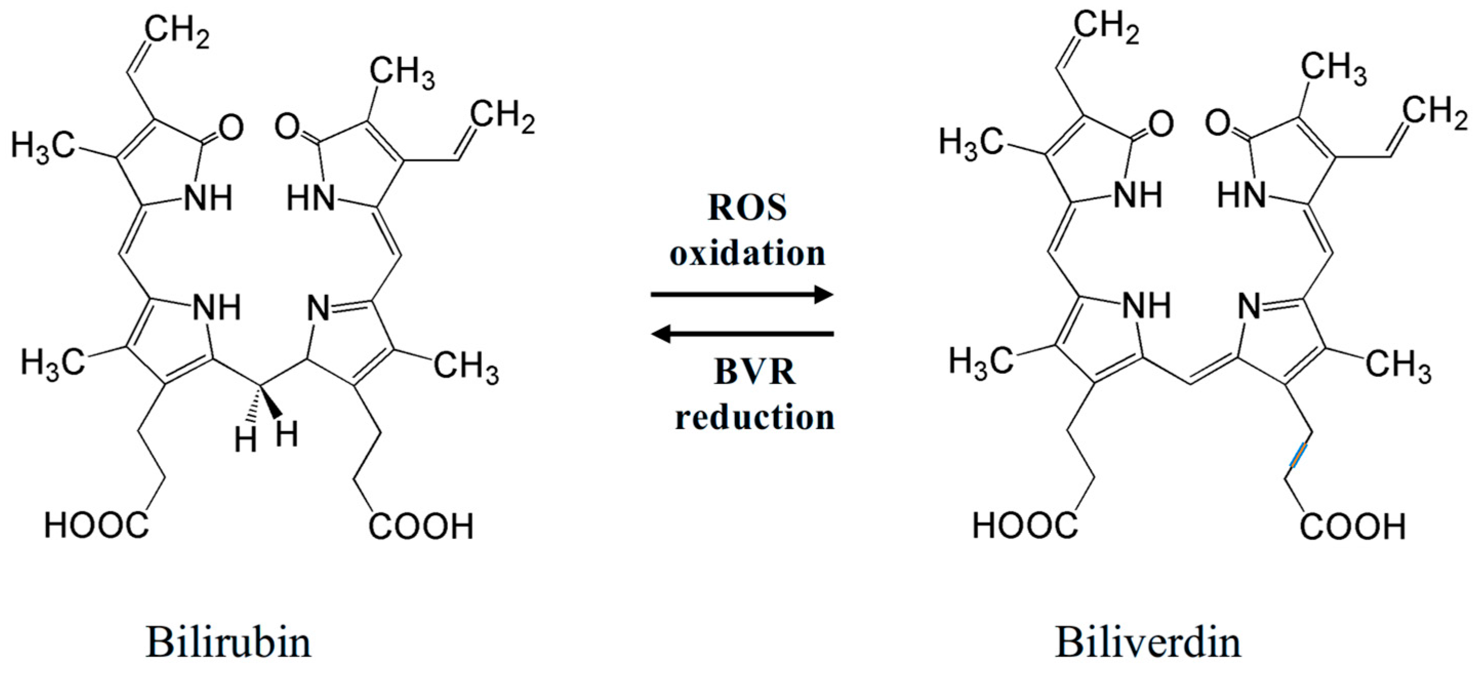 Antioxidants 14 01041 g003 Antioxidants 14 01041 g003