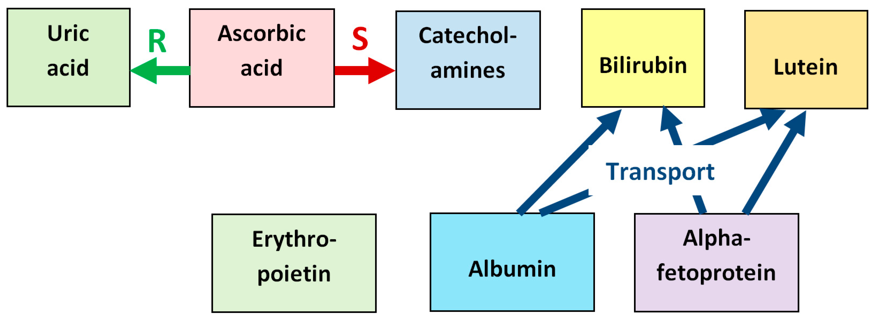 Antioxidants 14 01041 g010 Antioxidants 14 01041 g010
