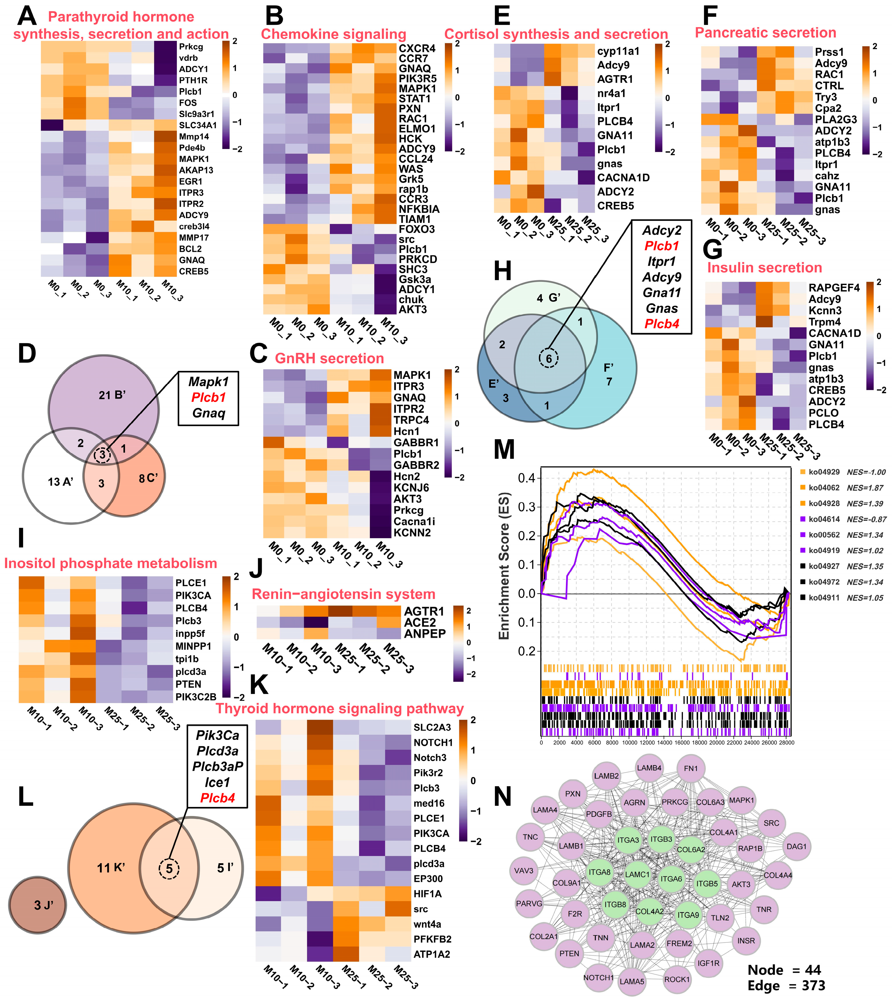 Antioxidants 14 01042 g008 Antioxidants 14 01042 g008