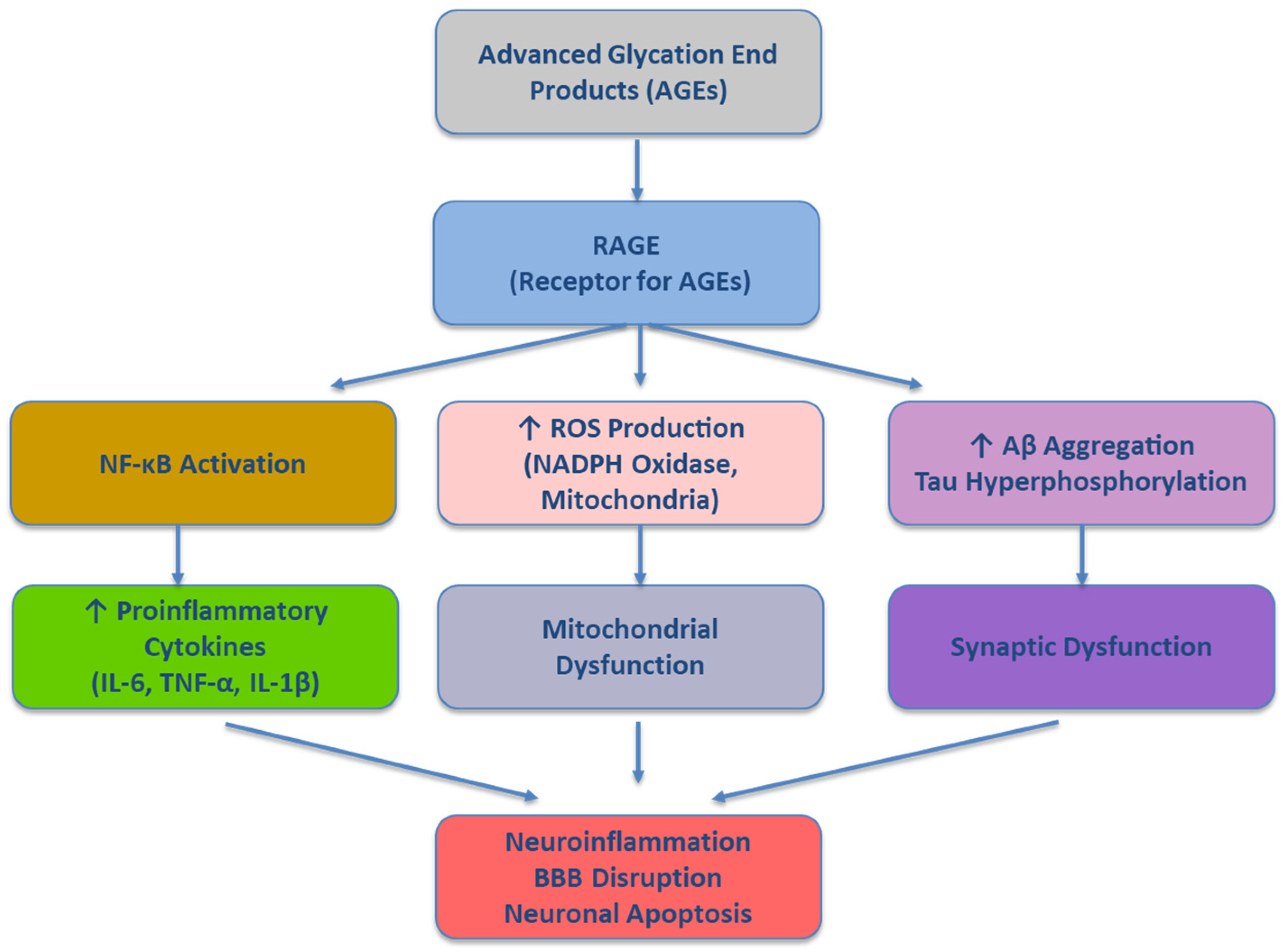 Antioxidants 14 01044 g001