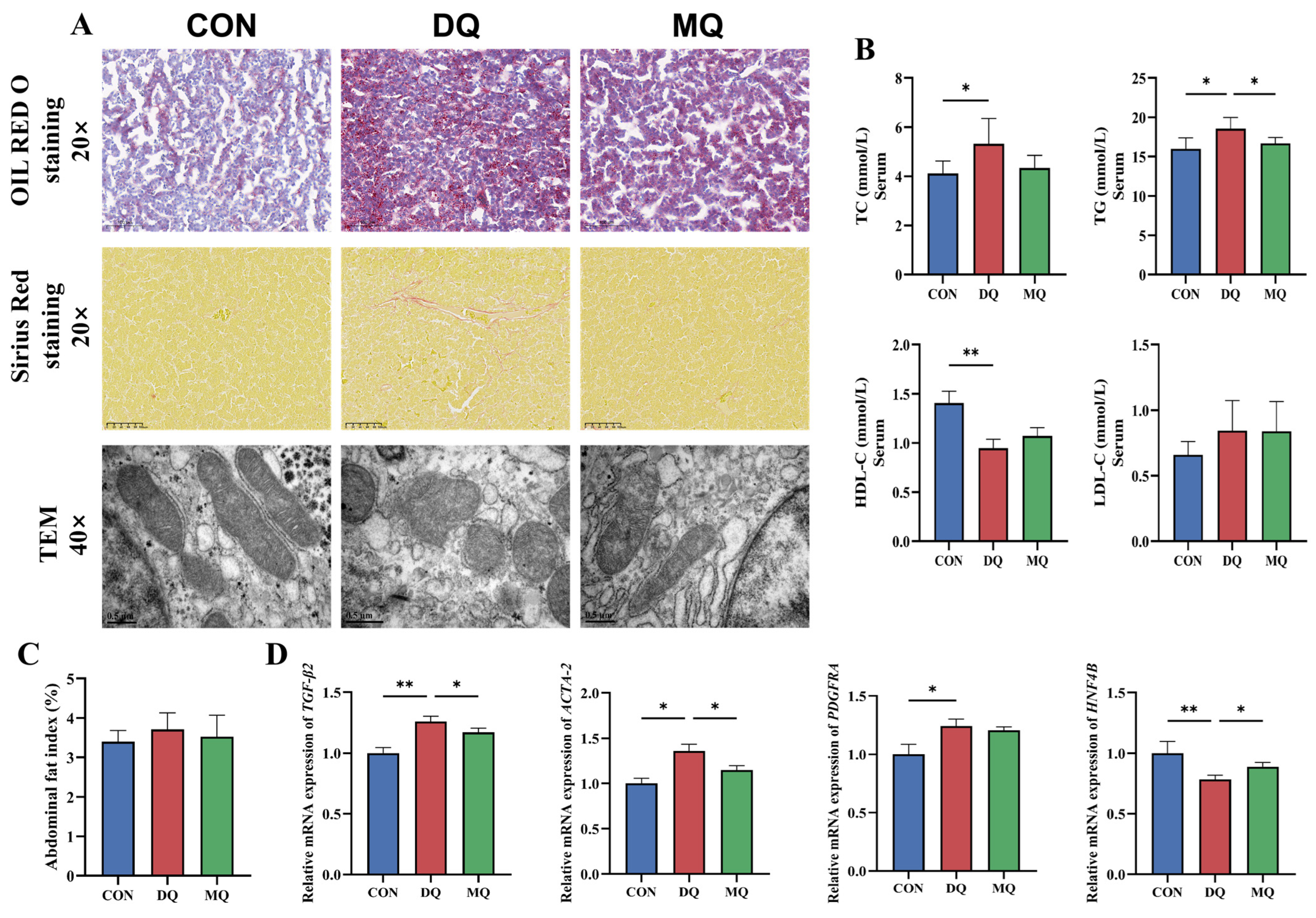 Antioxidants 14 01045 g002 Antioxidants 14 01045 g002