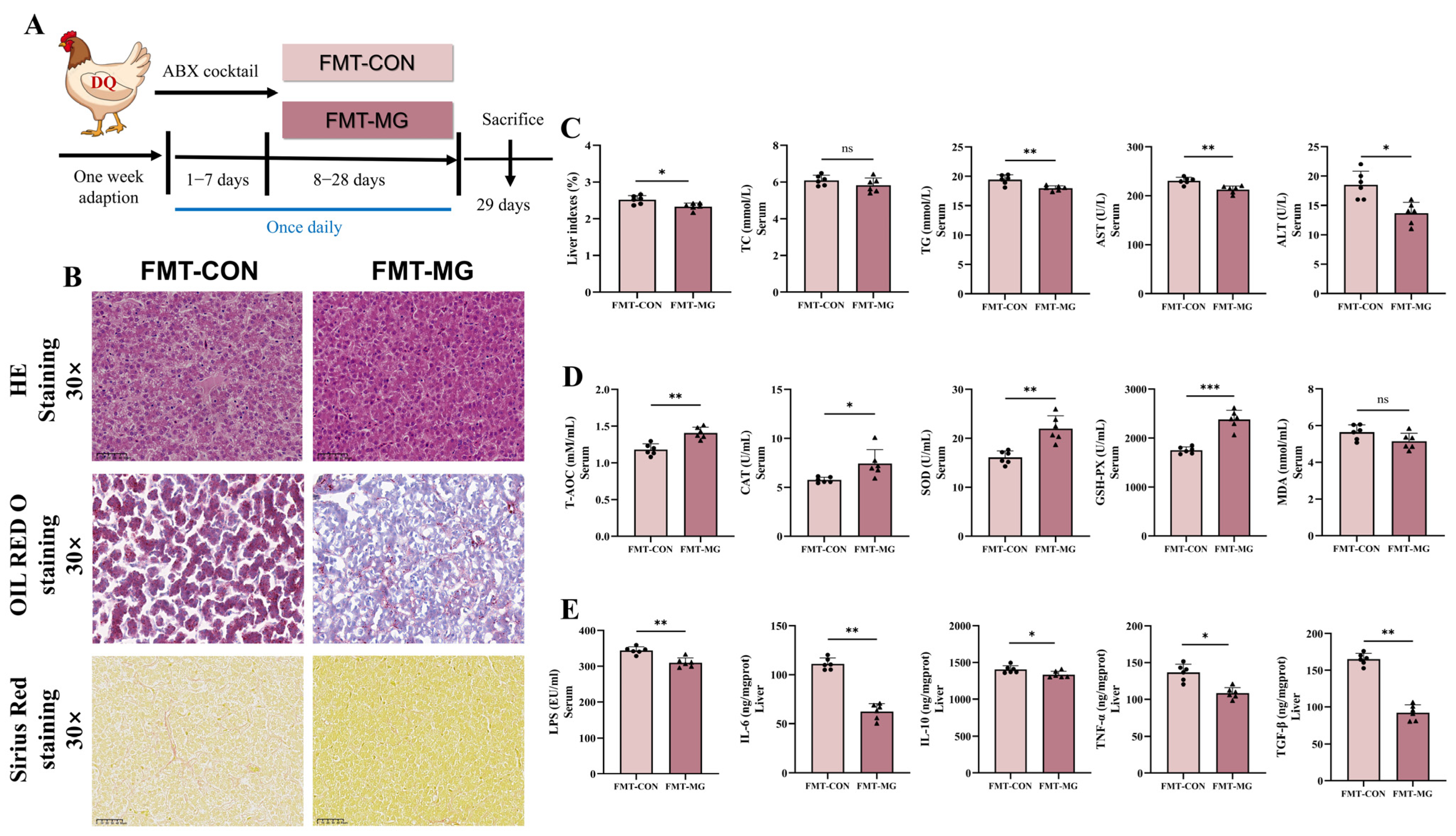 Antioxidants 14 01045 g009 Antioxidants 14 01045 g009