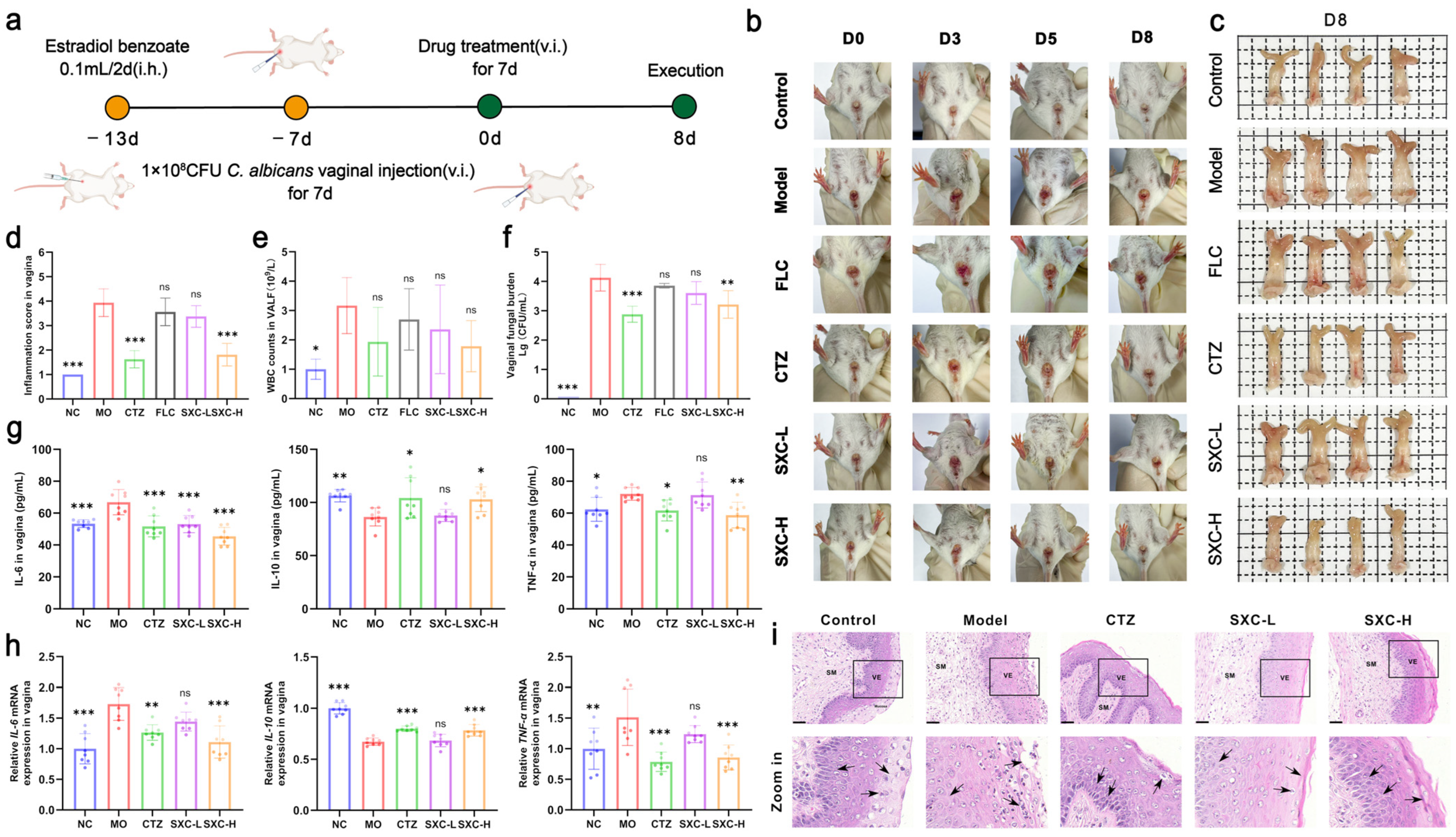 Antioxidants 14 01046 g003 Antioxidants 14 01046 g003