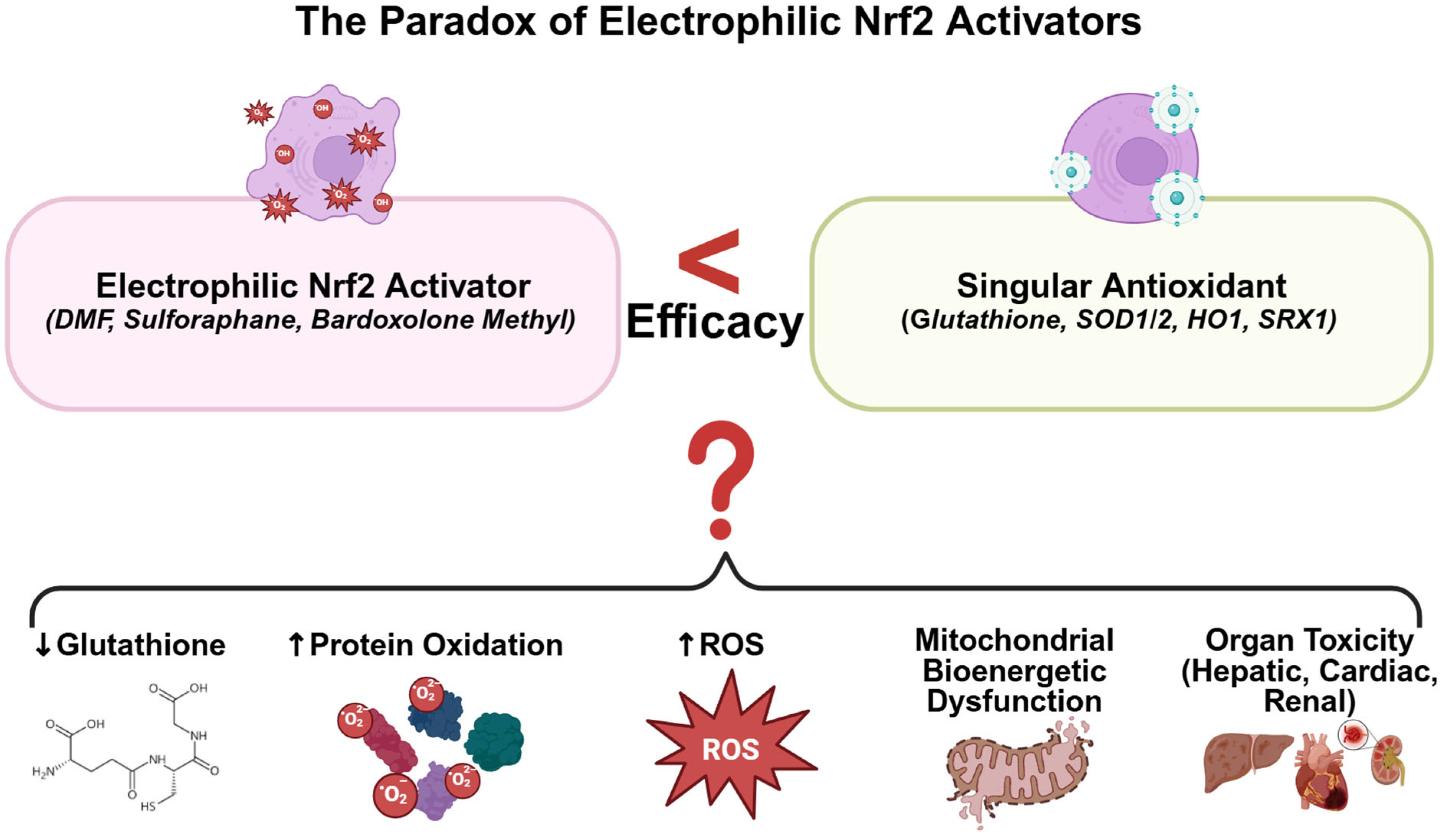 Antioxidants 14 01047 g001