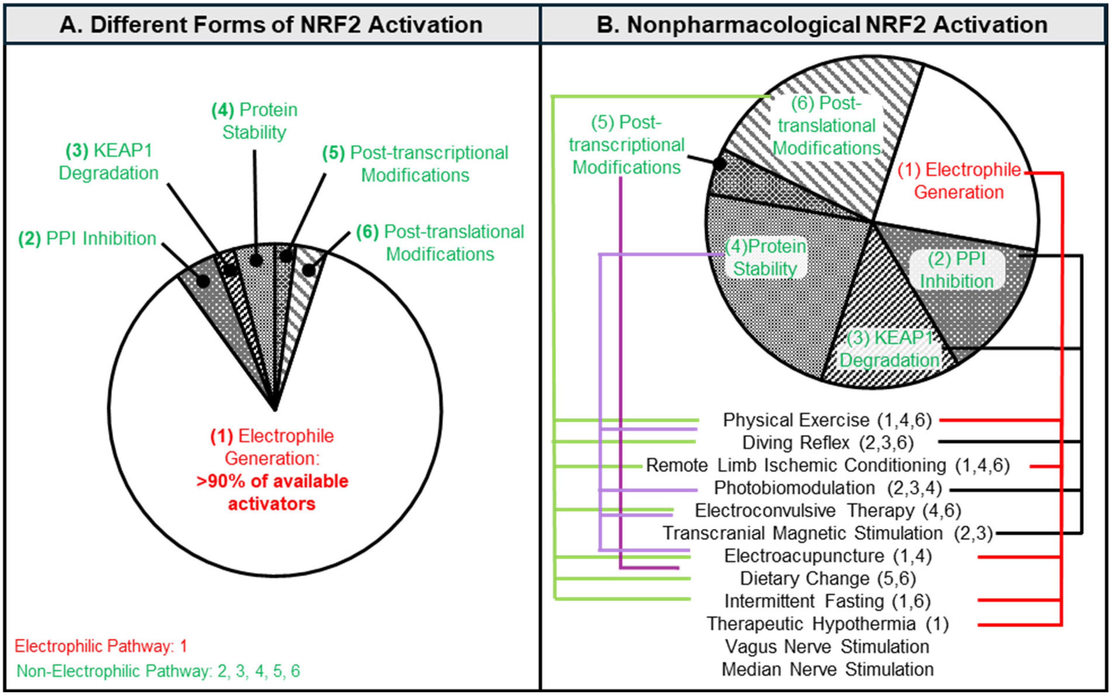 Antioxidants 14 01047 g002
