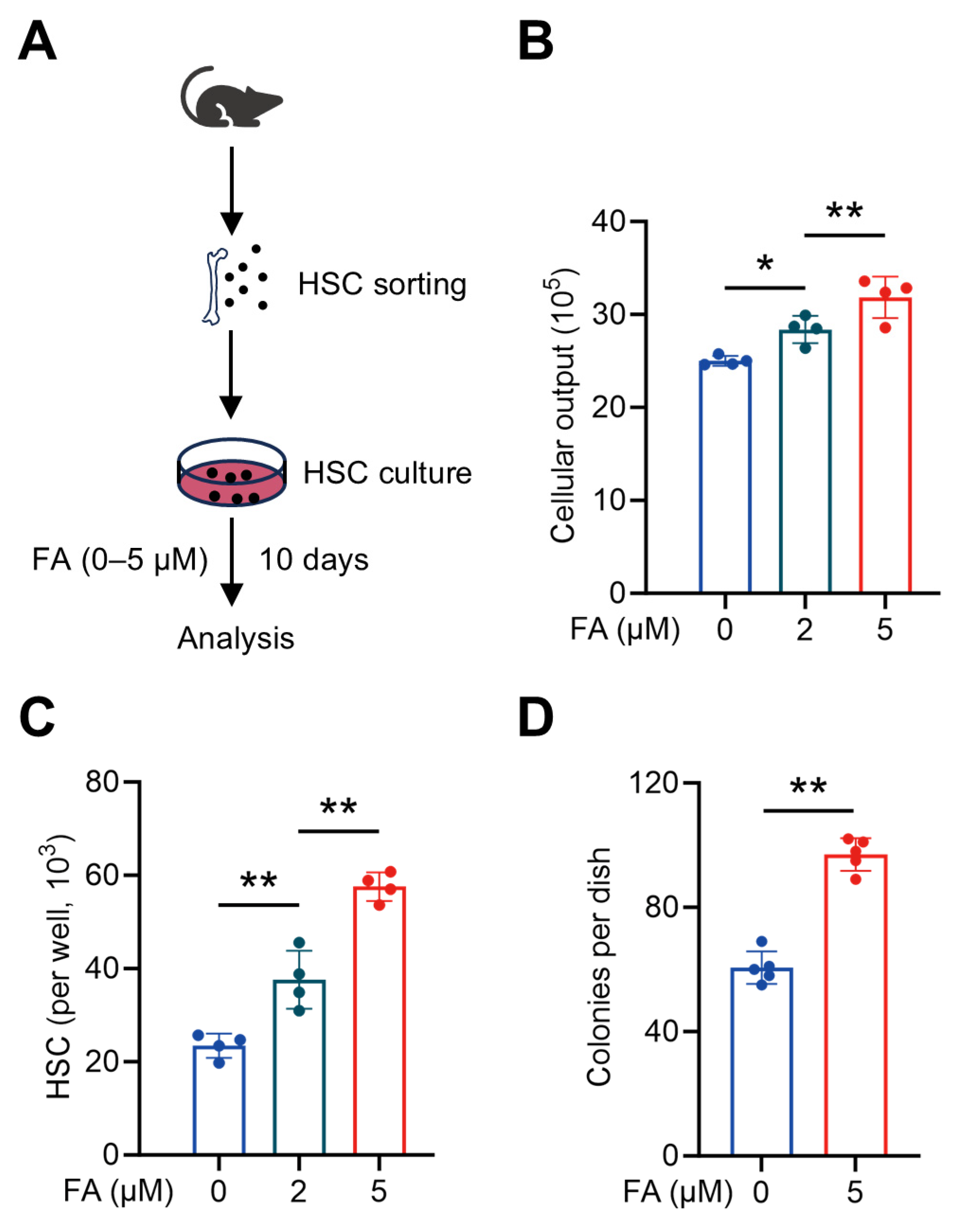 Antioxidants 14 01053 g003 Antioxidants 14 01053 g003
