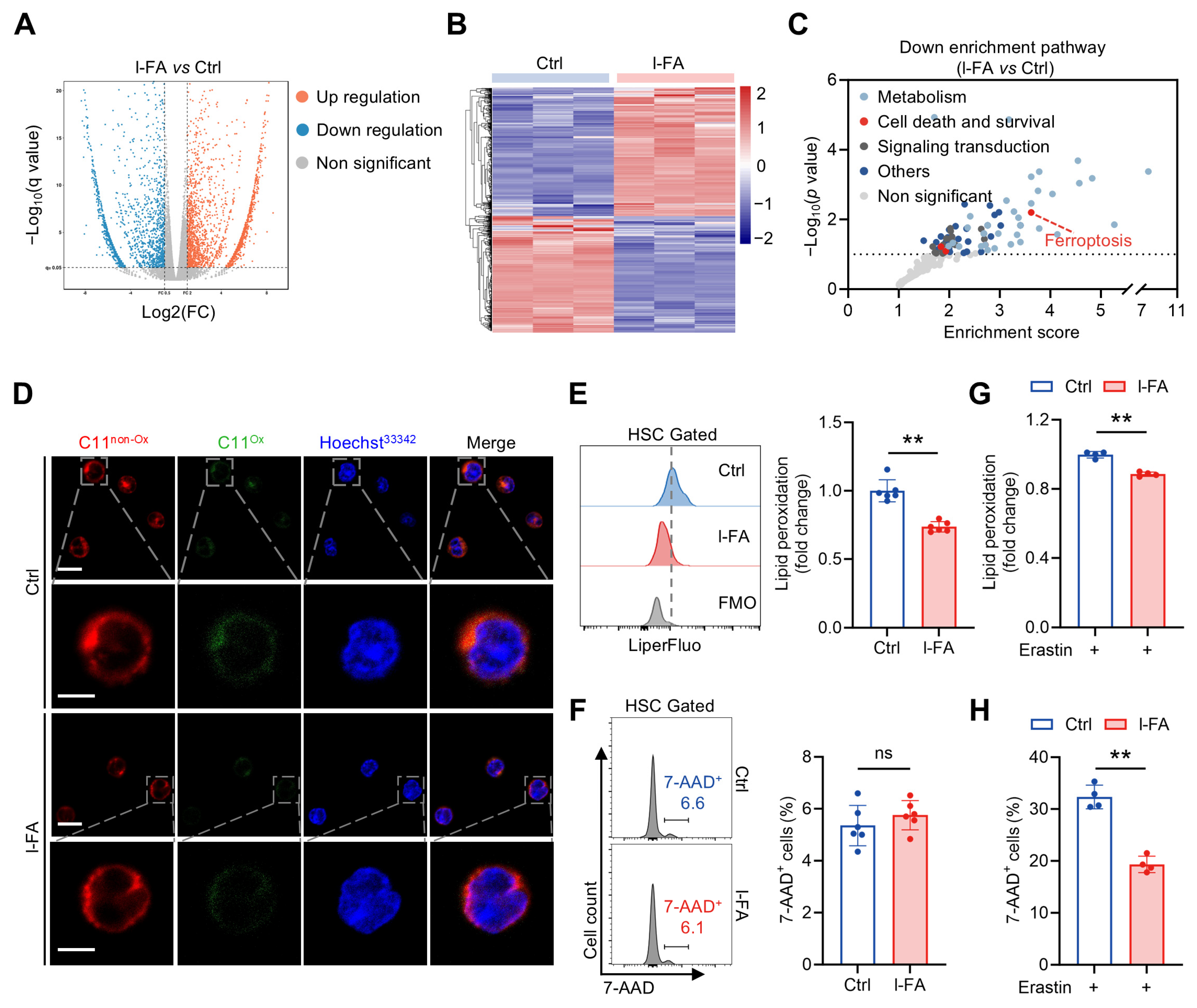 Antioxidants 14 01053 g004 Antioxidants 14 01053 g004