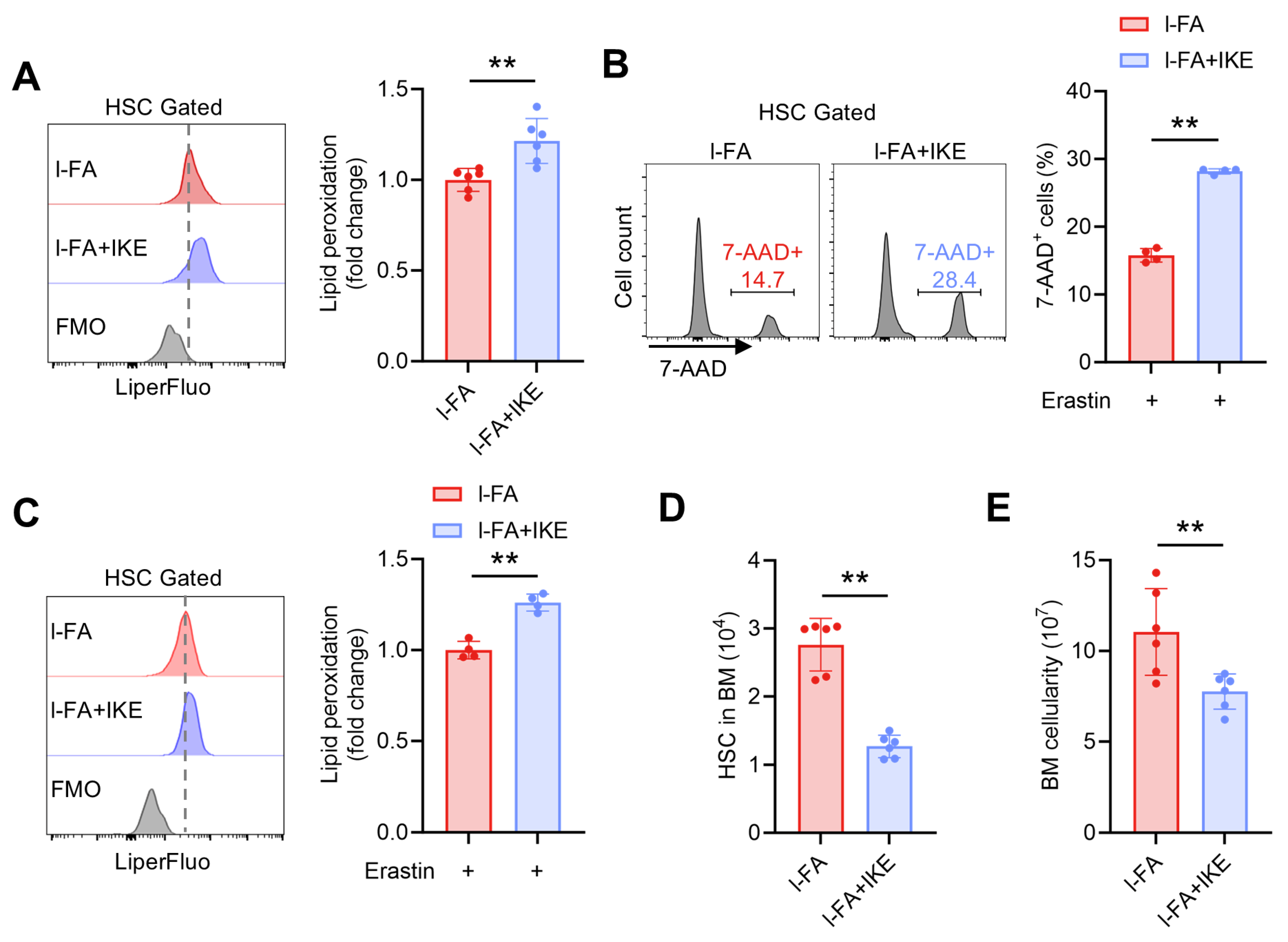 Antioxidants 14 01053 g005 Antioxidants 14 01053 g005
