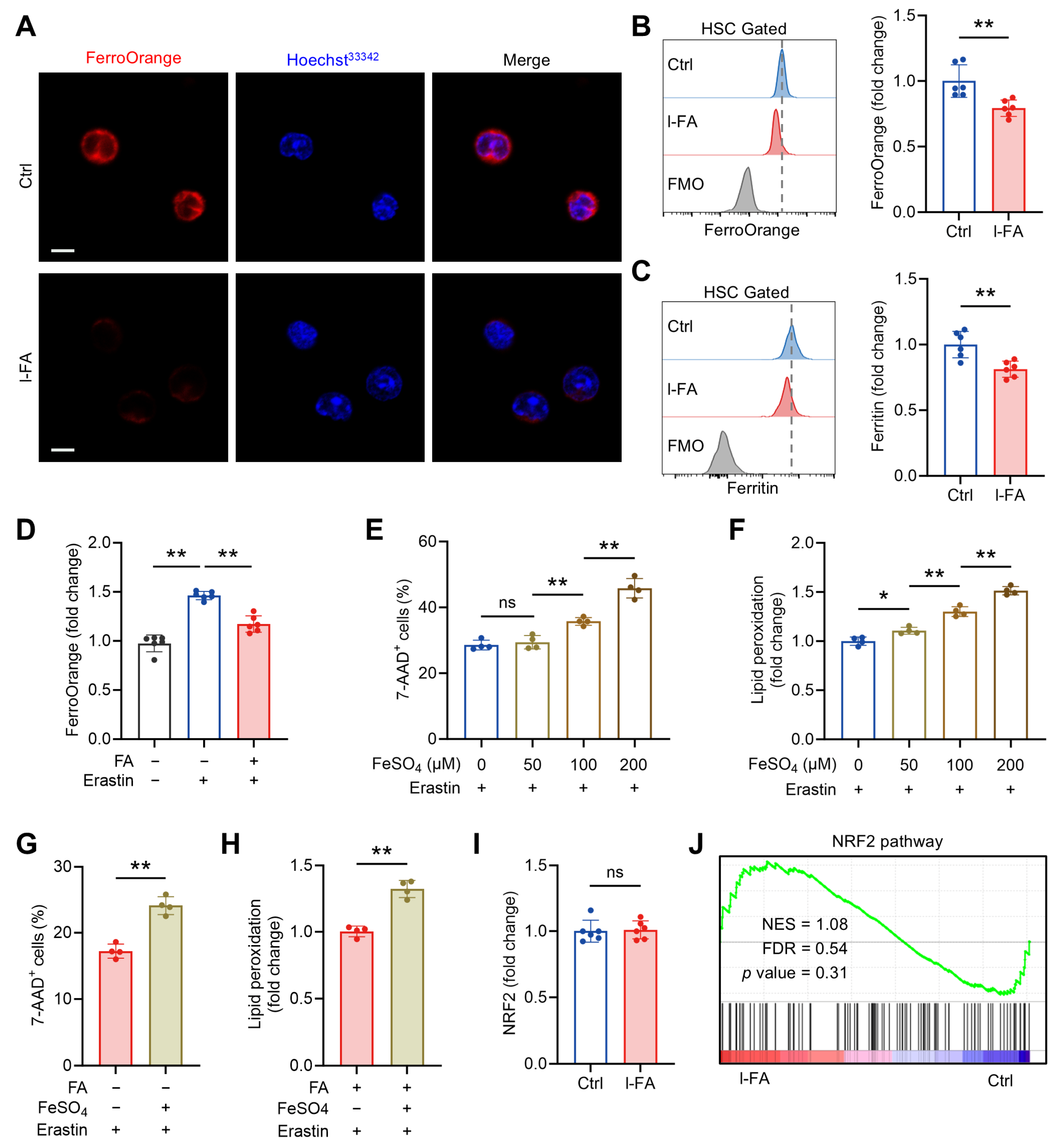 Antioxidants 14 01053 g006 Antioxidants 14 01053 g006