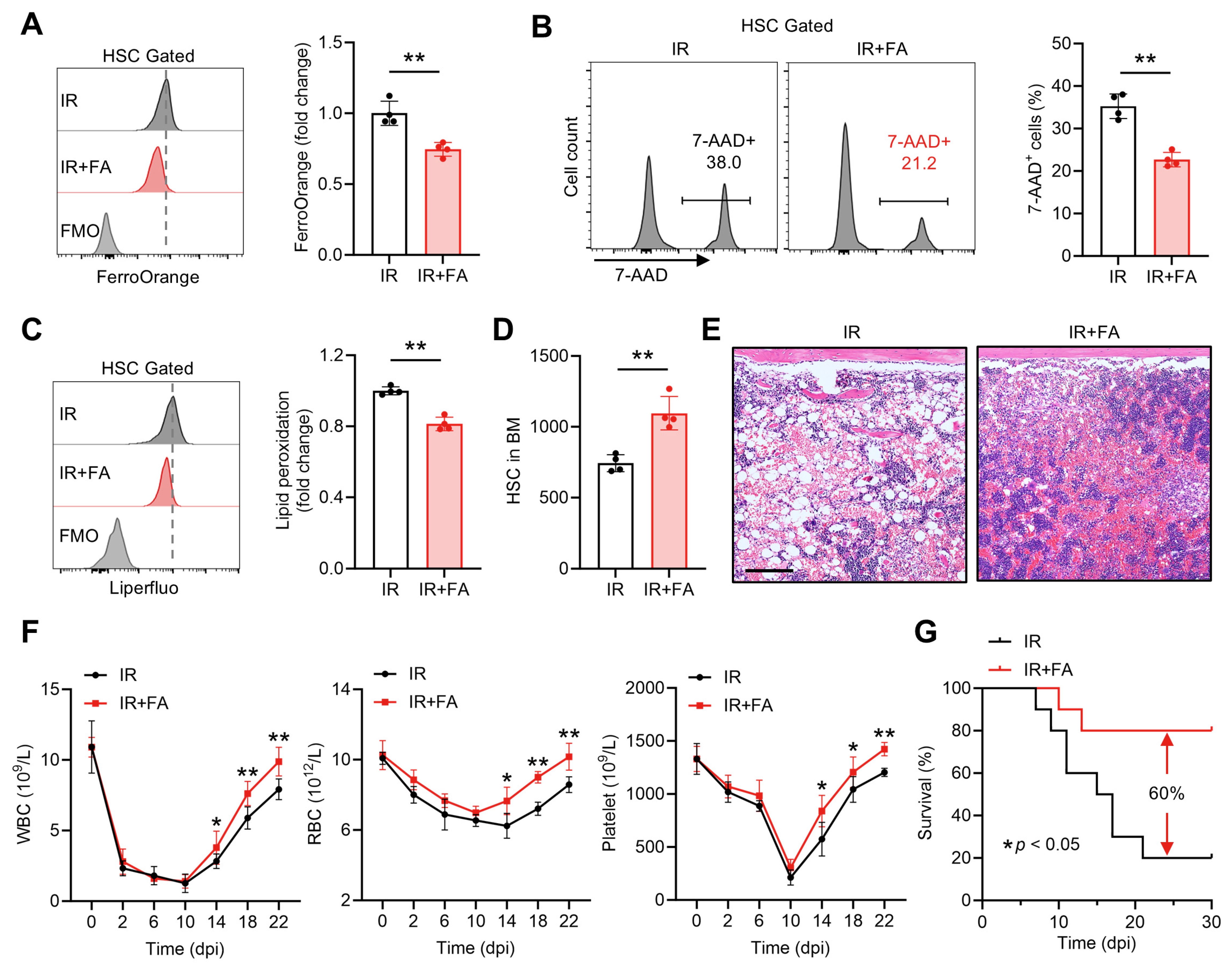 Antioxidants 14 01053 g007 Antioxidants 14 01053 g007
