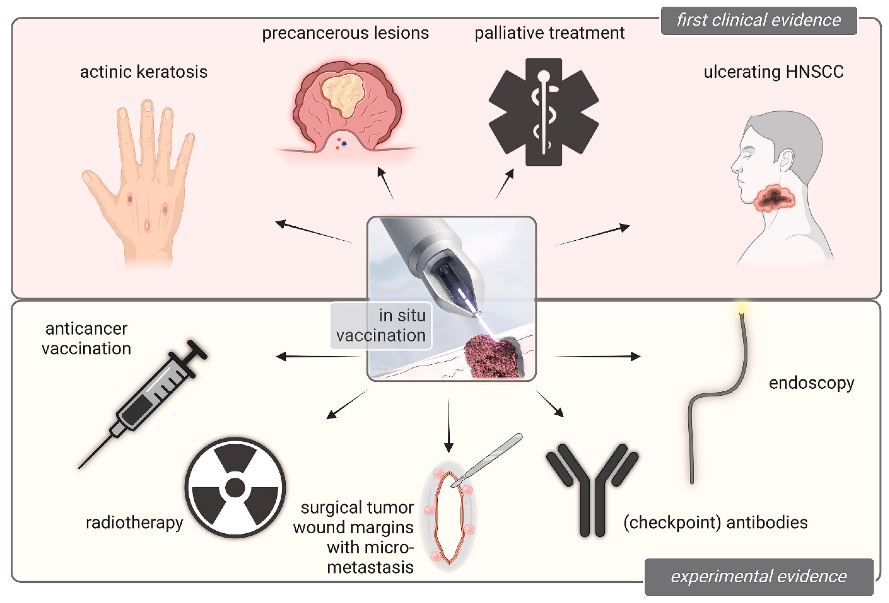 Antioxidants 14 01055 g004