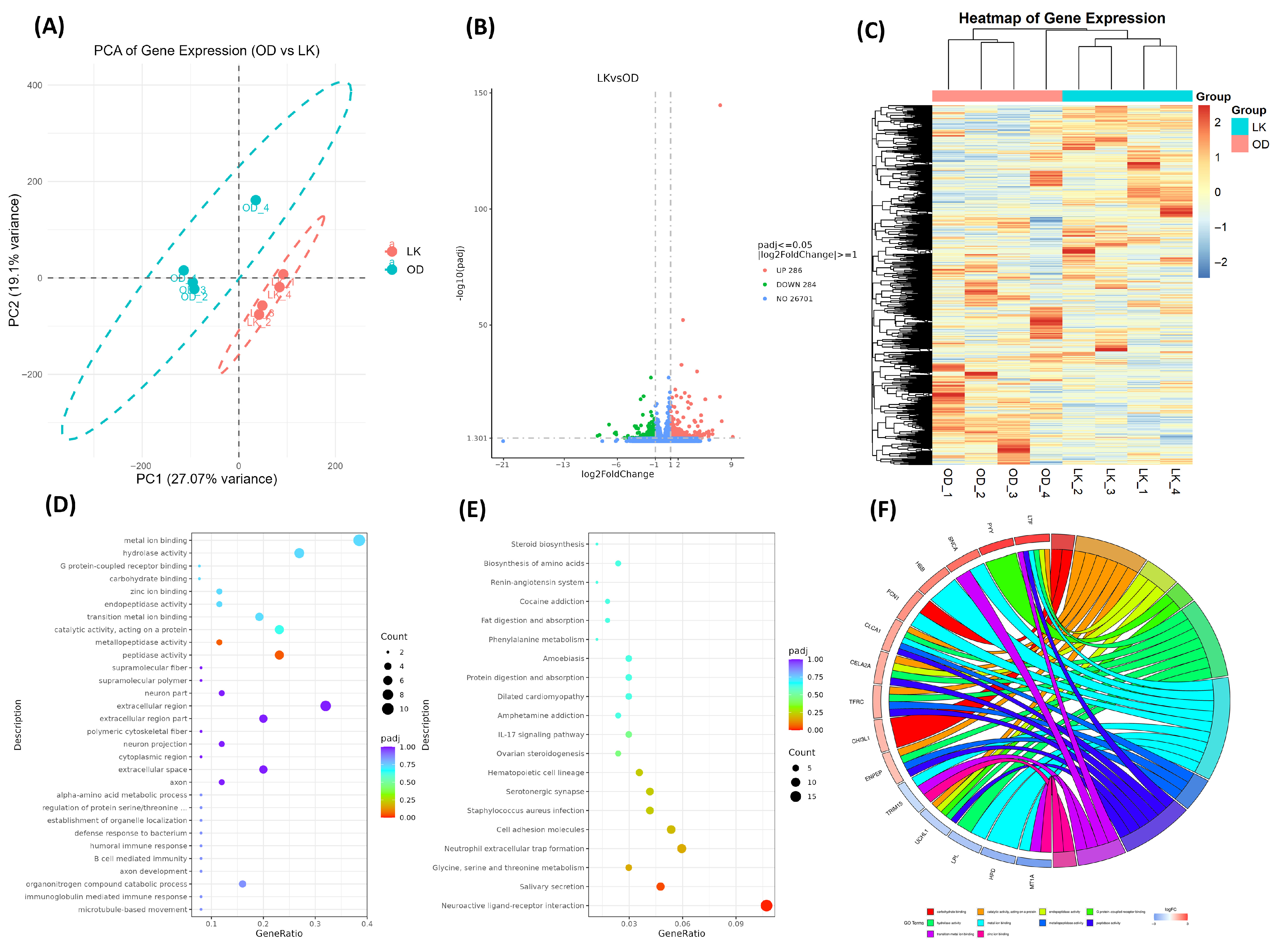 Antioxidants 14 01056 g002 Antioxidants 14 01056 g002
