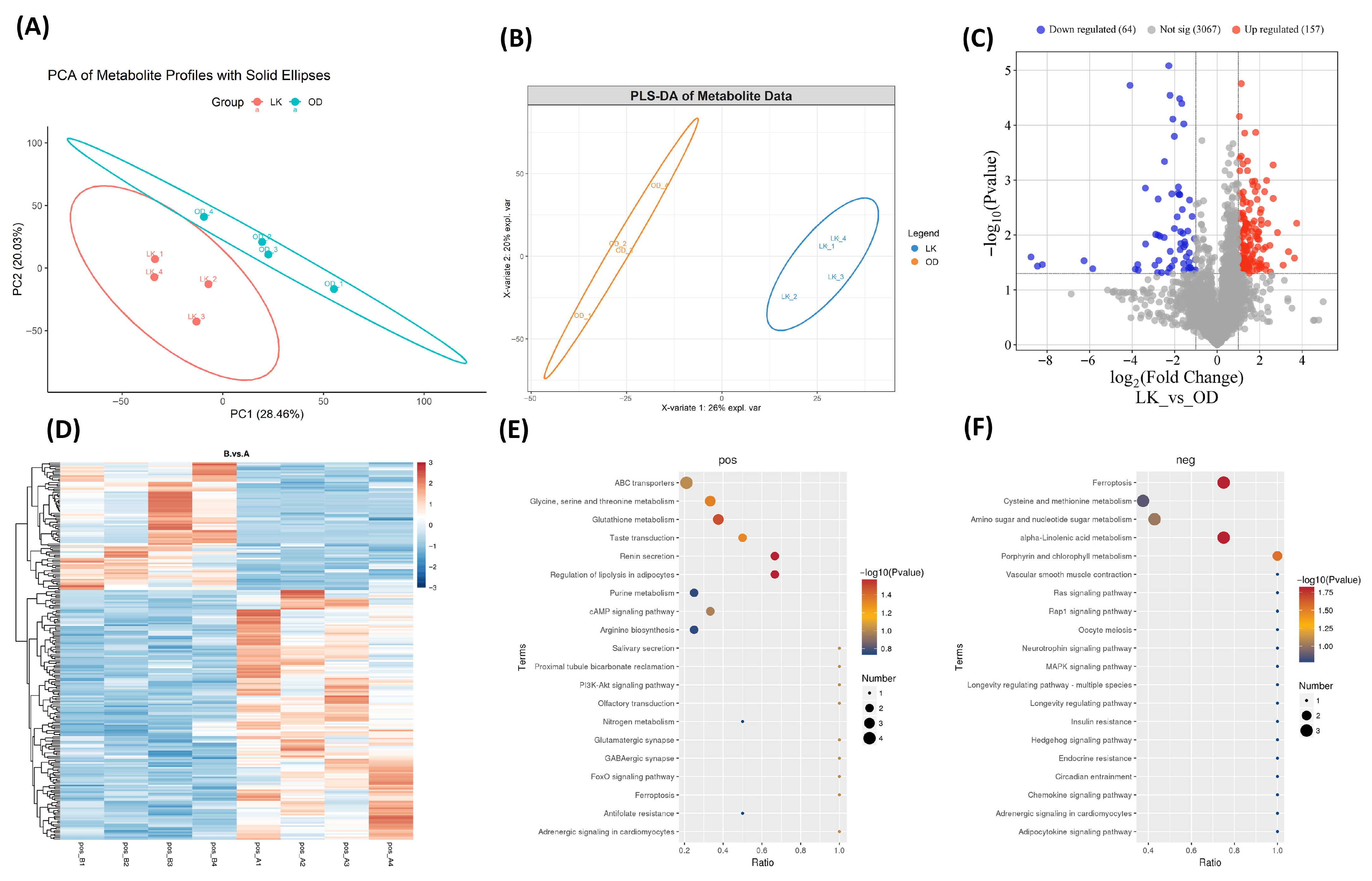 Antioxidants 14 01056 g004 Antioxidants 14 01056 g004