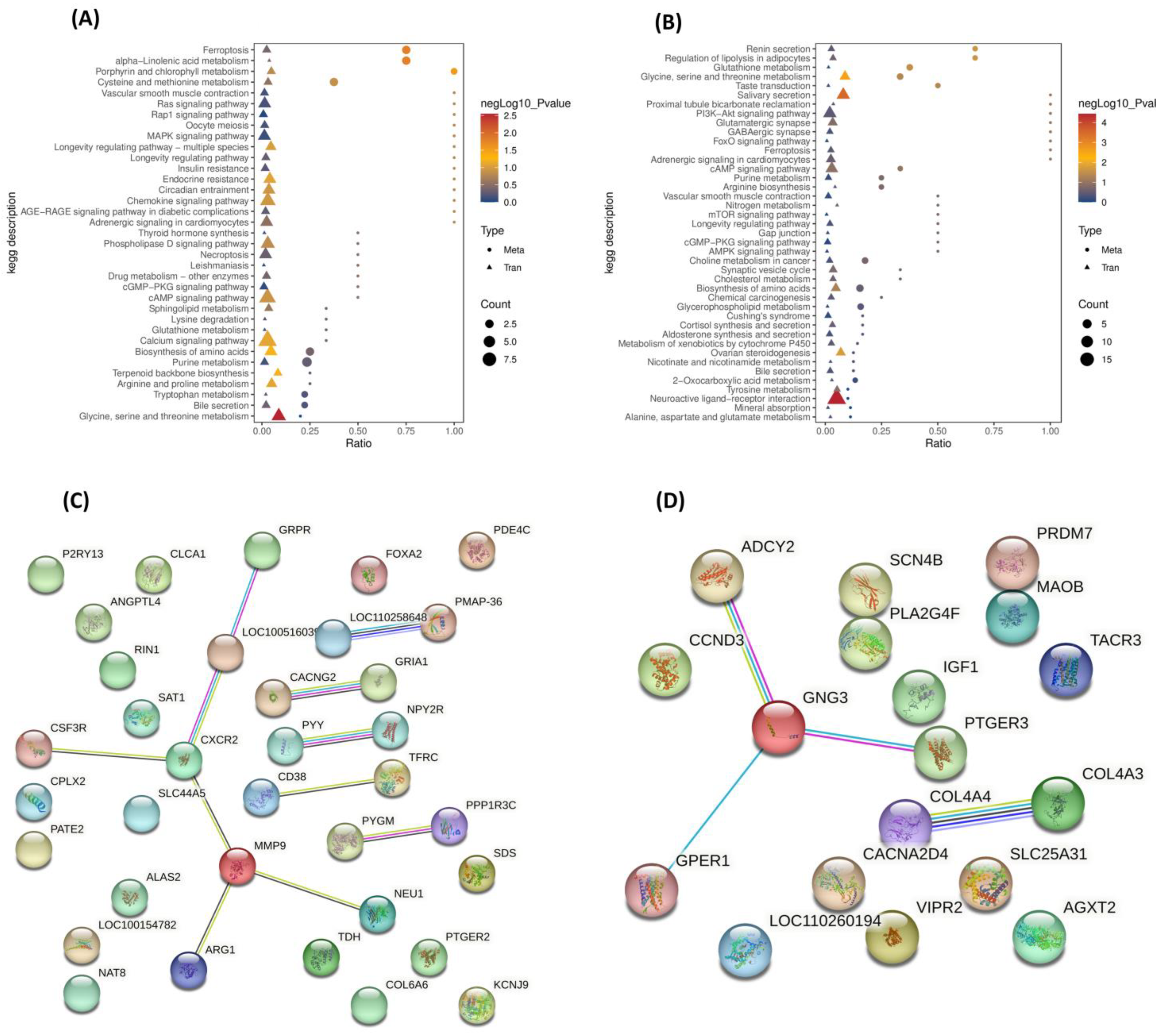 Antioxidants 14 01056 g005 Antioxidants 14 01056 g005