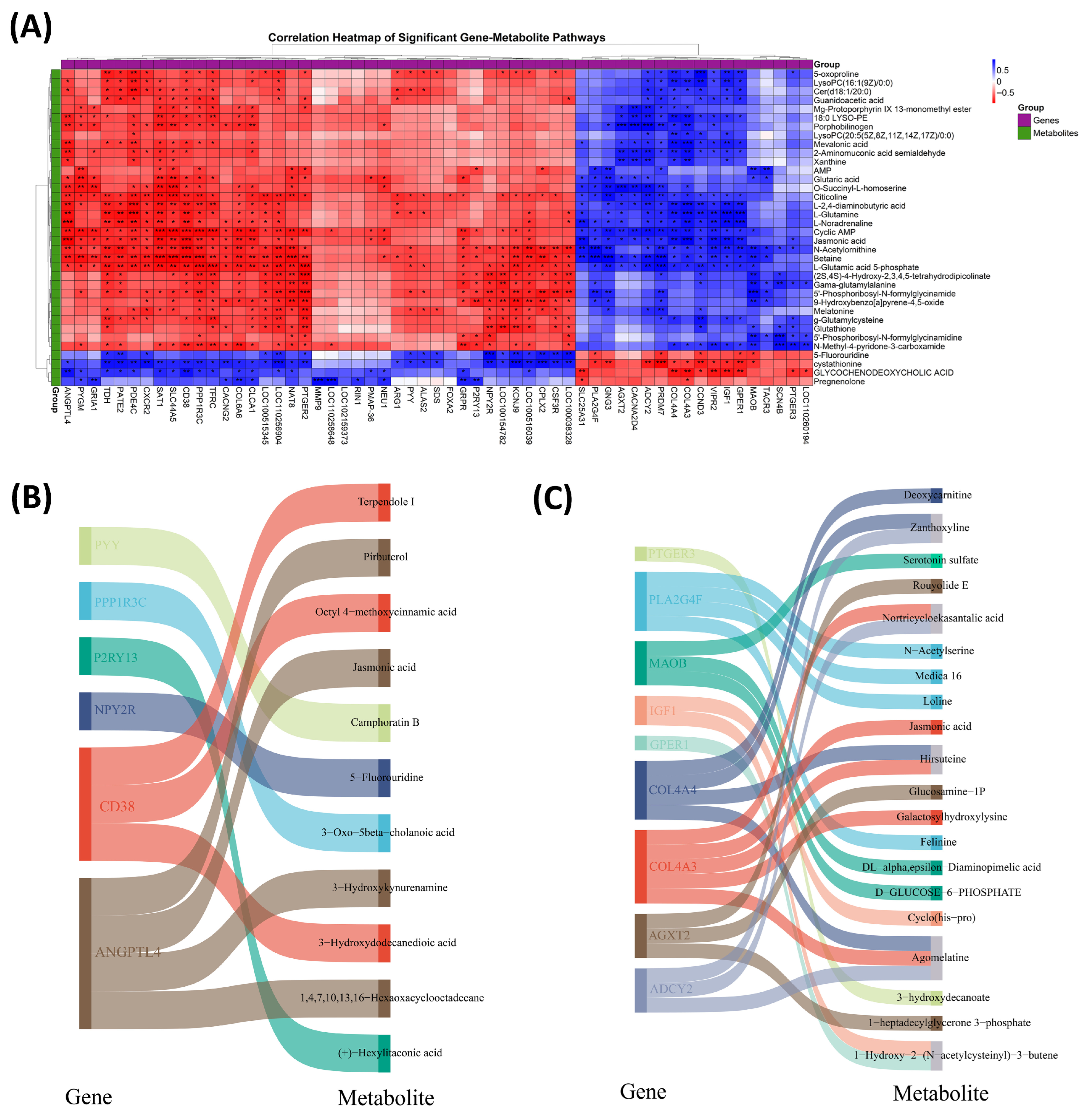 Antioxidants 14 01056 g006 Antioxidants 14 01056 g006